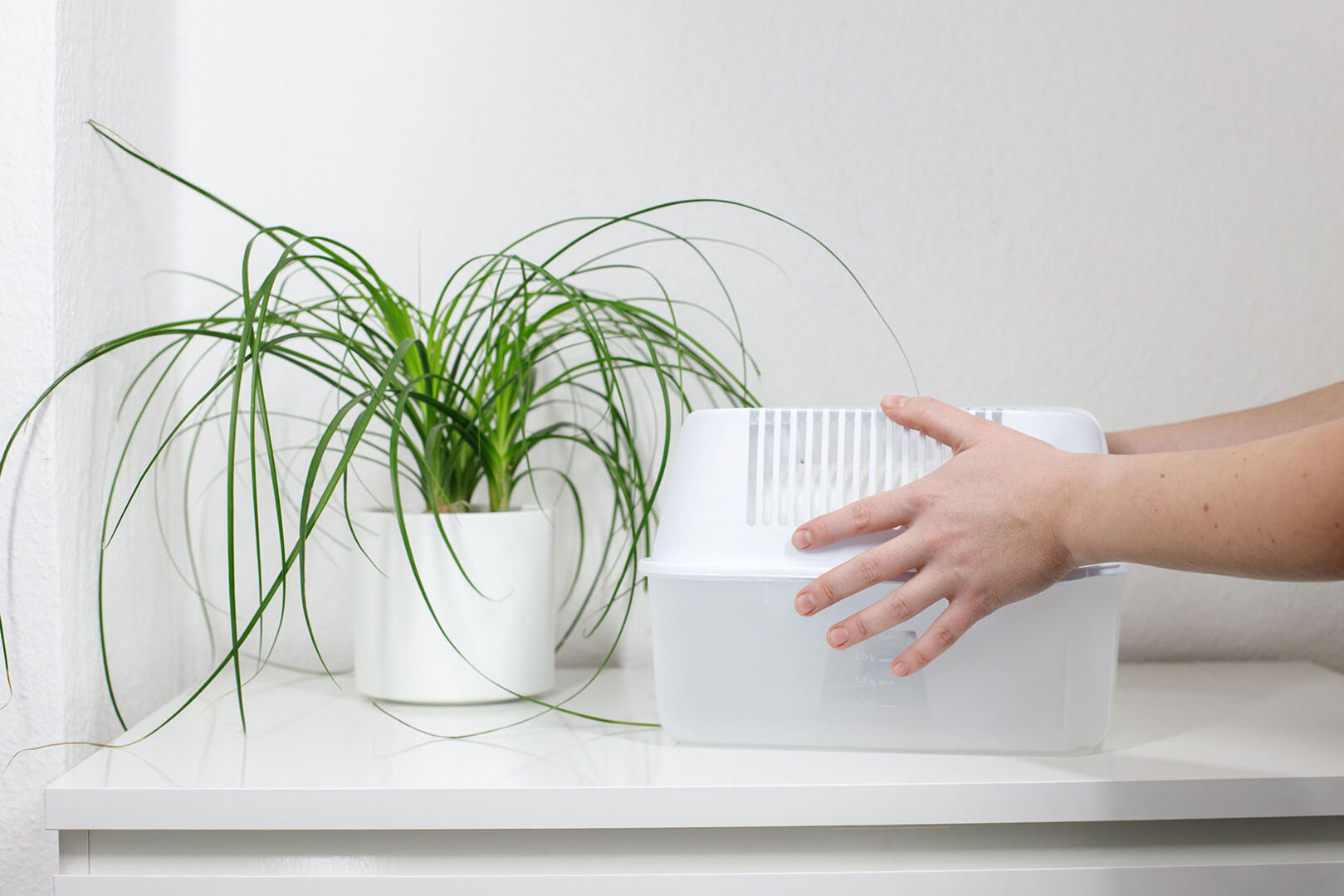 Luftentfeuchter auf einem Tisch | Credit: iStock.com/Kateryna Artsybasheva