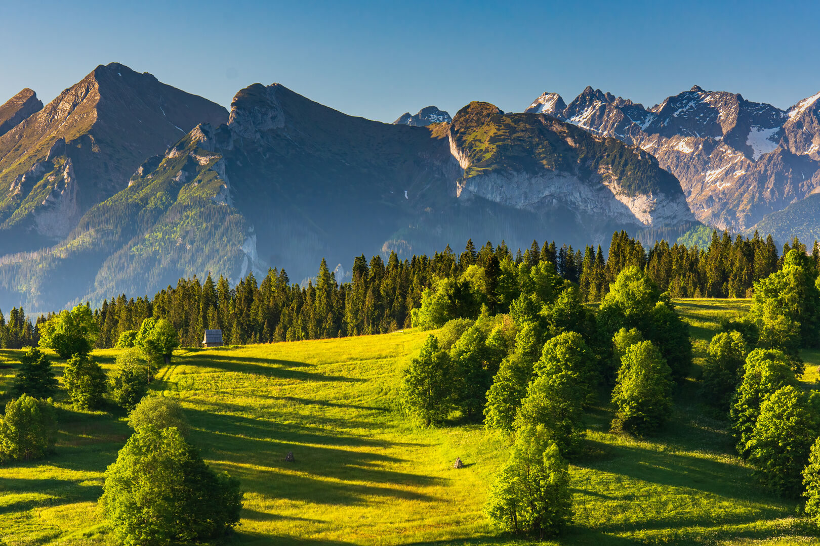 Gebirge, davor eine Fläche mit grünem Wald
