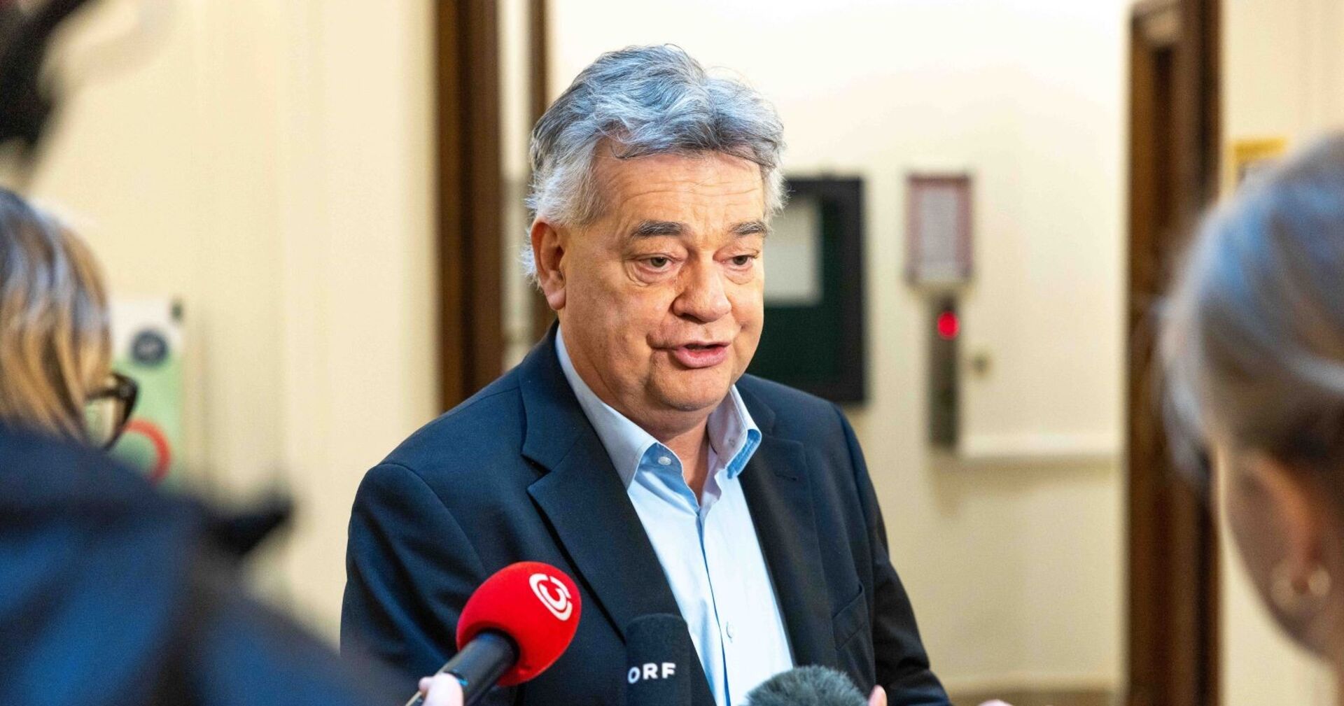 Grünen-Chef Werner Kogler will nicht noch einmal für den Parteivorsitz kandidieren.