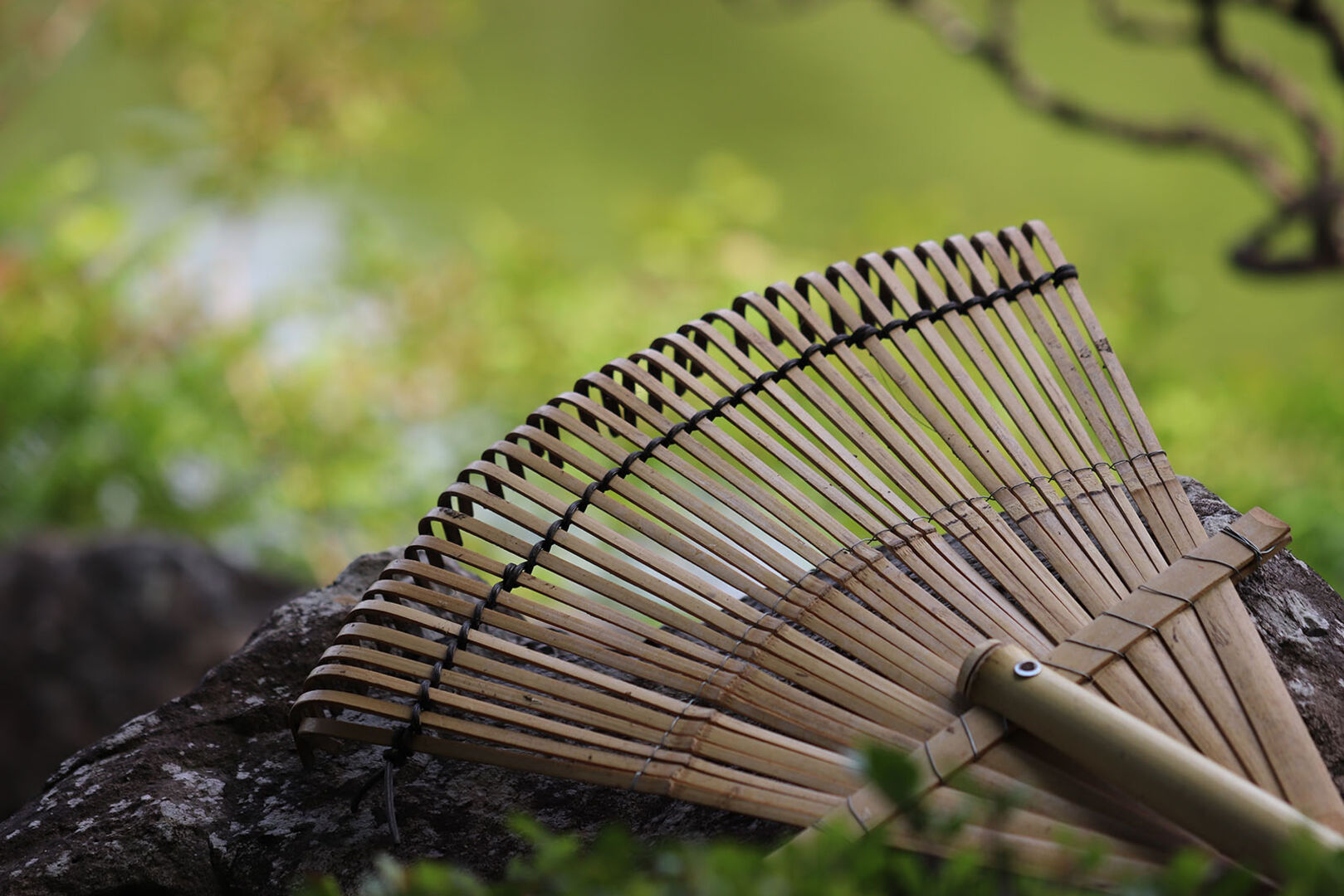 Bambusrechen im Garten | Credit: iStock.com/chie hidaka