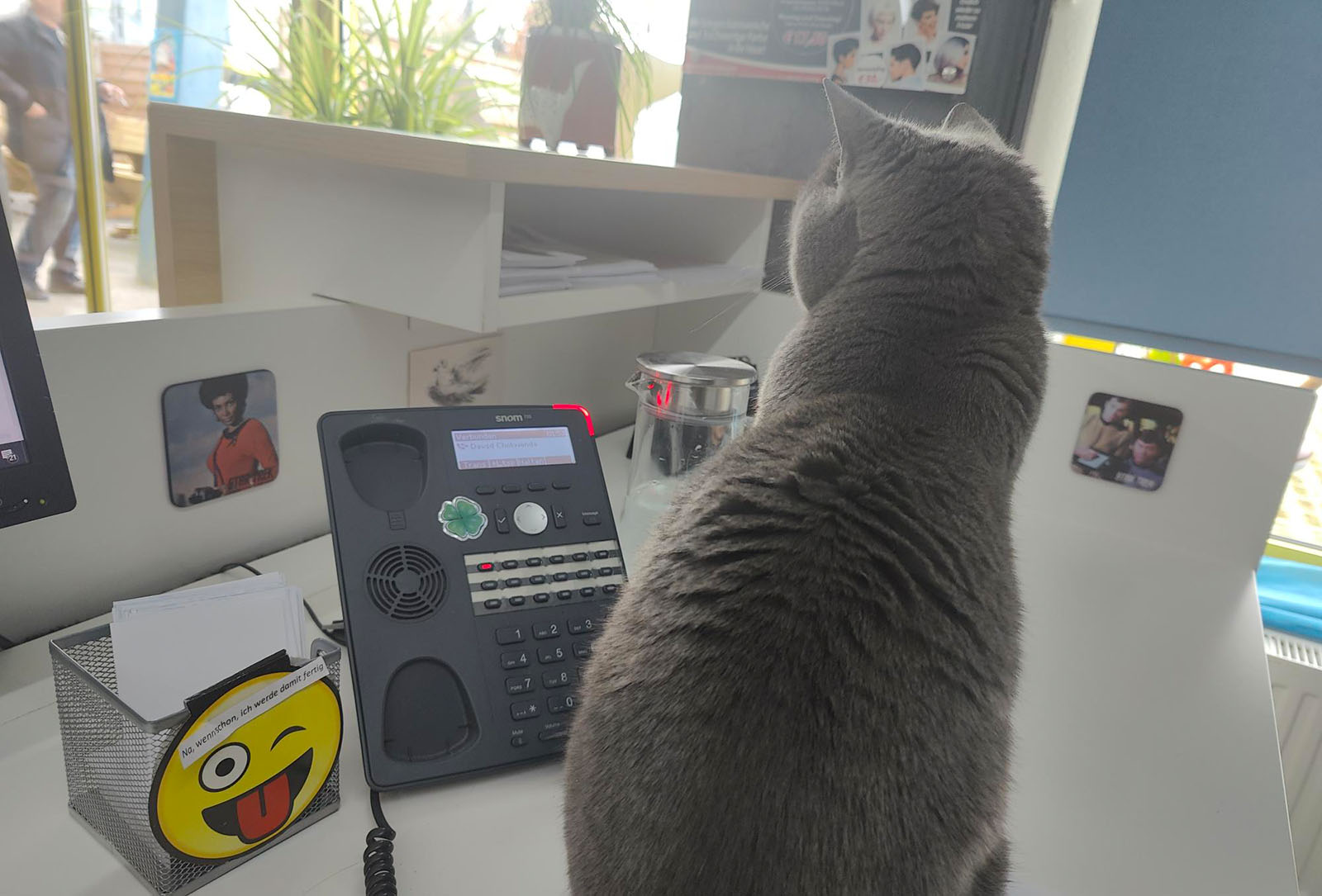 Corona sitzt vor dem Telefon im Büro | Credit: Lilli Platzer