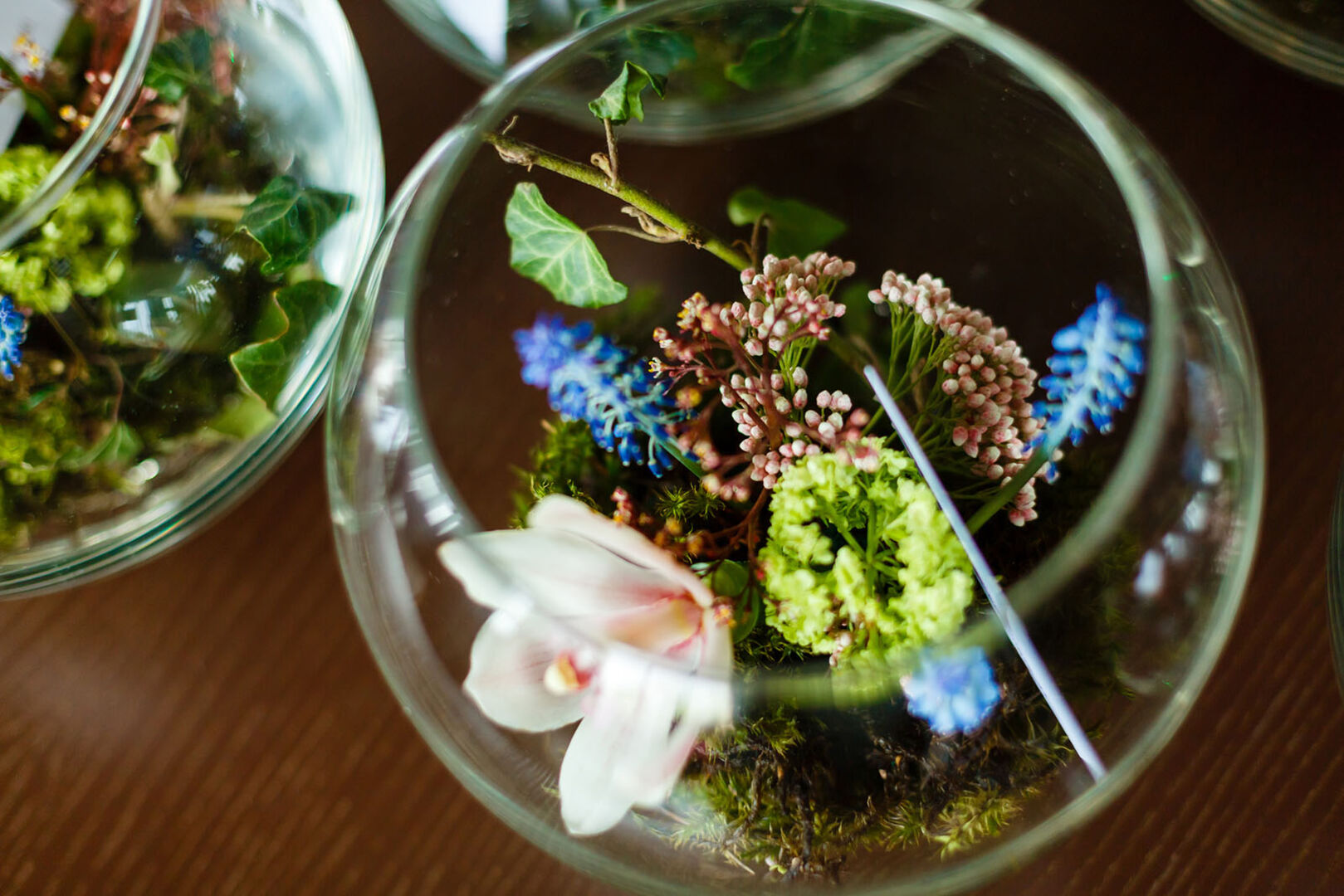 Orchidee in einem runden Glas | Credit: iStock.com/Sinenkiy