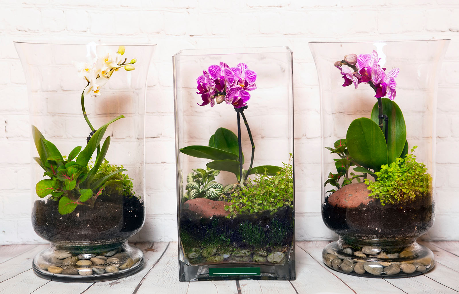 Drei Gläser mit Orchideen | Credit: iStock.com/Katrin_Timoff