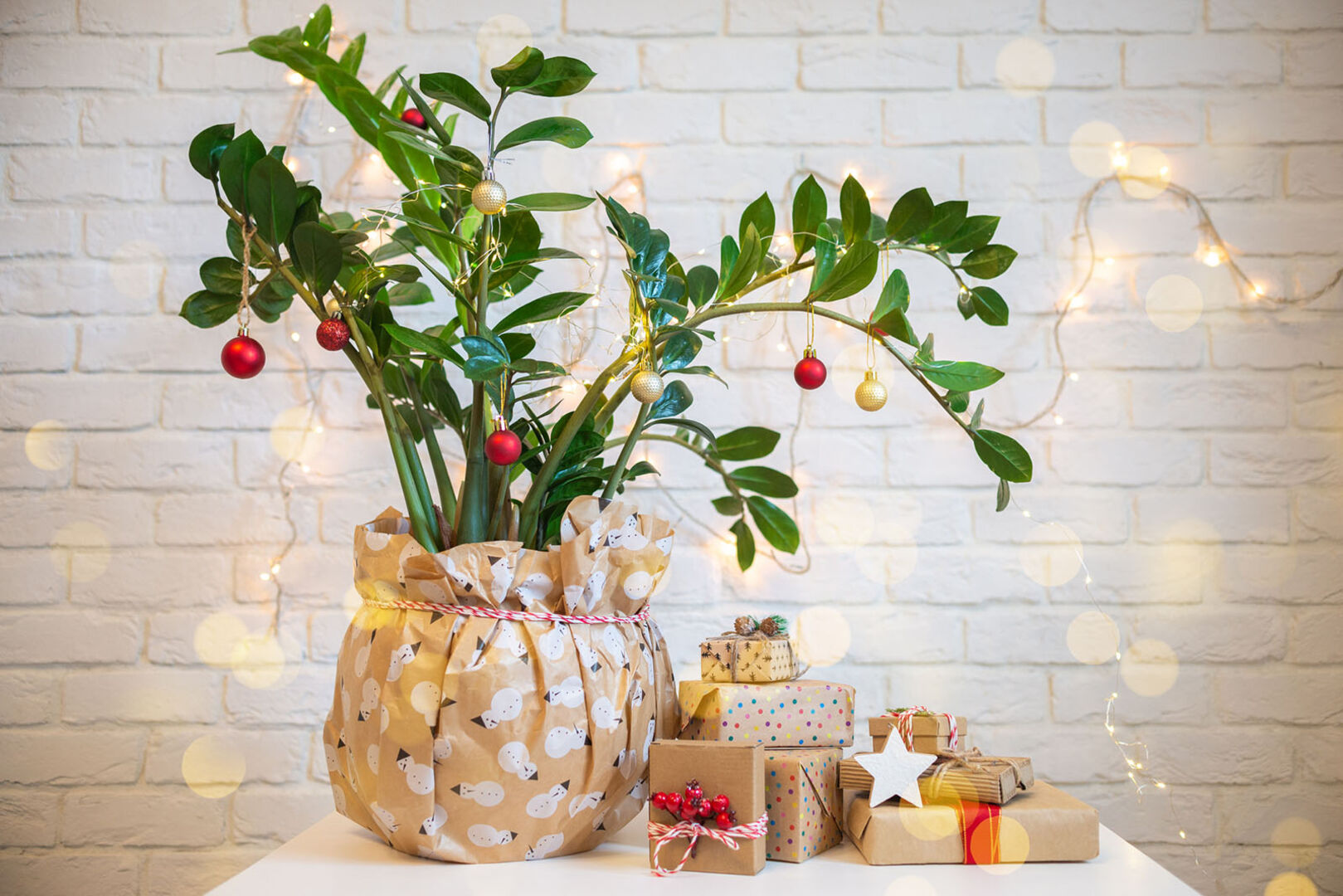 Zimmerpflanze mit Weihnachtskugeln | Credit: iStock.com/Mariia Polskaia