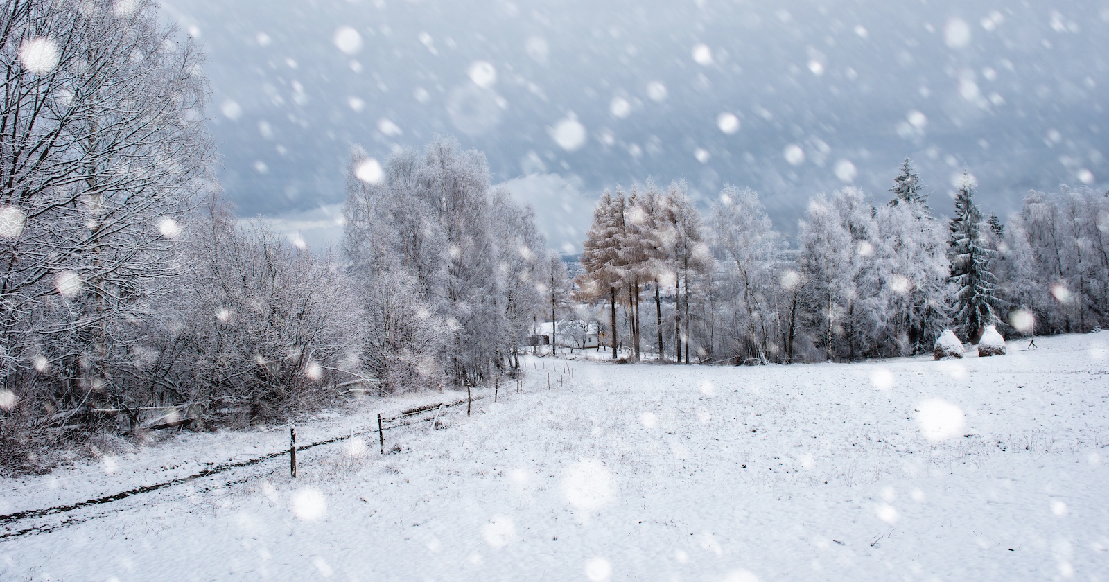 Schneefall in einen ländlichen Gegend.