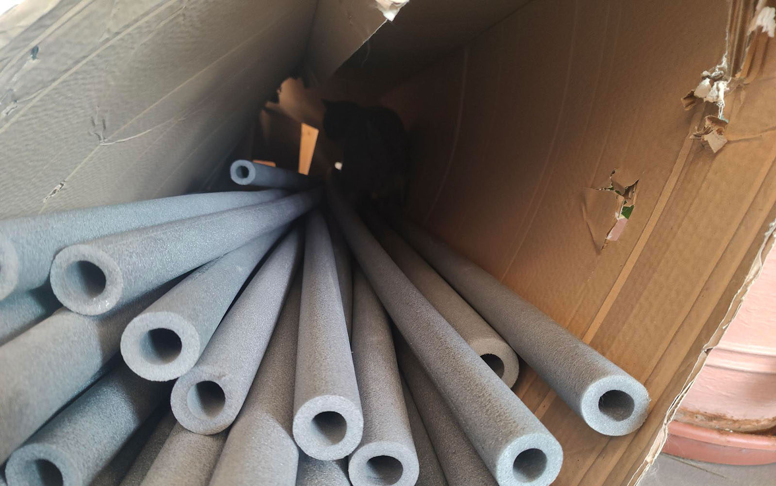 Corona versteckt sich in einer Kiste | Credit: Lilli Platzer