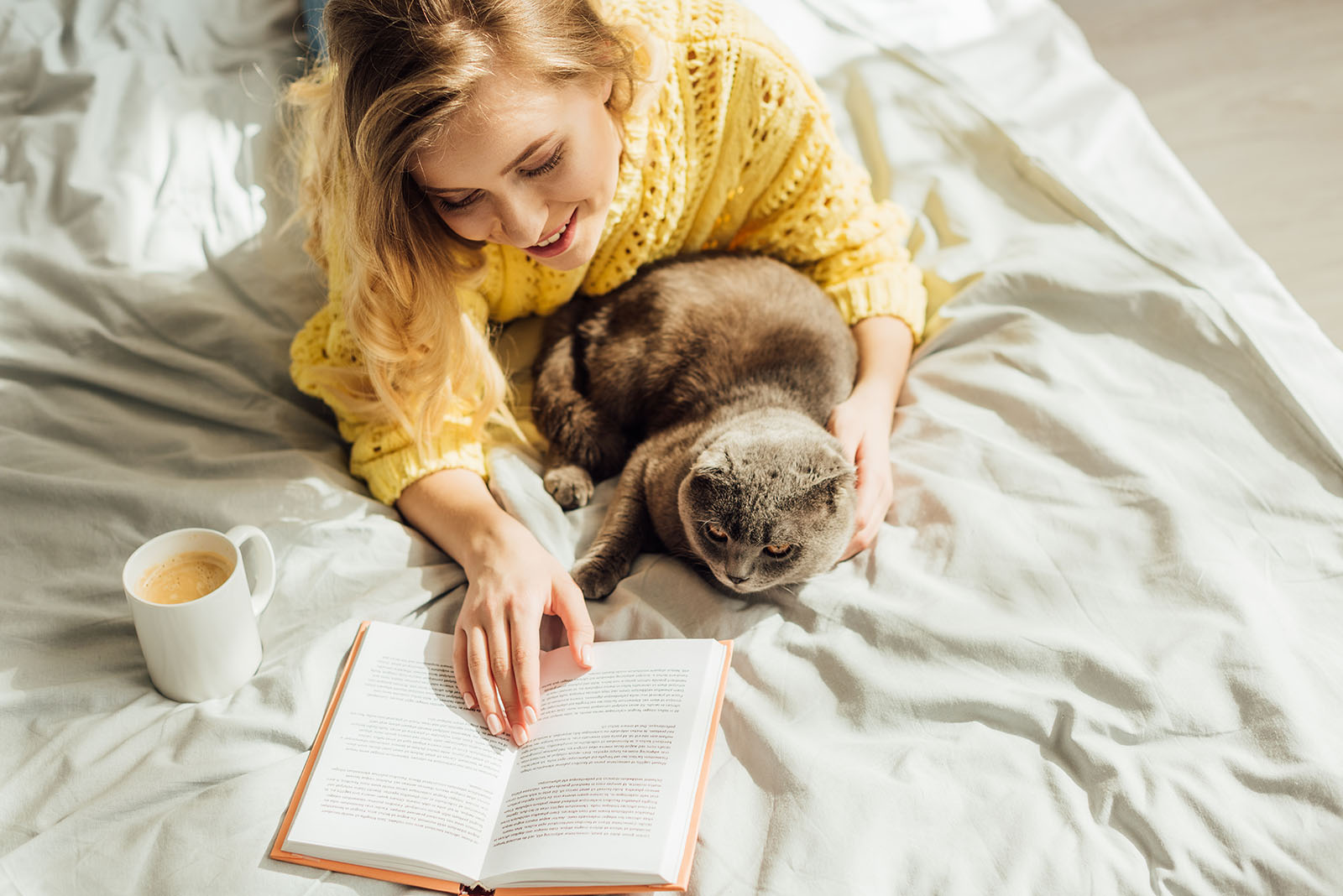 Frau liest mit Katze im Bett | Credit: iStock.com/LightFieldStudios