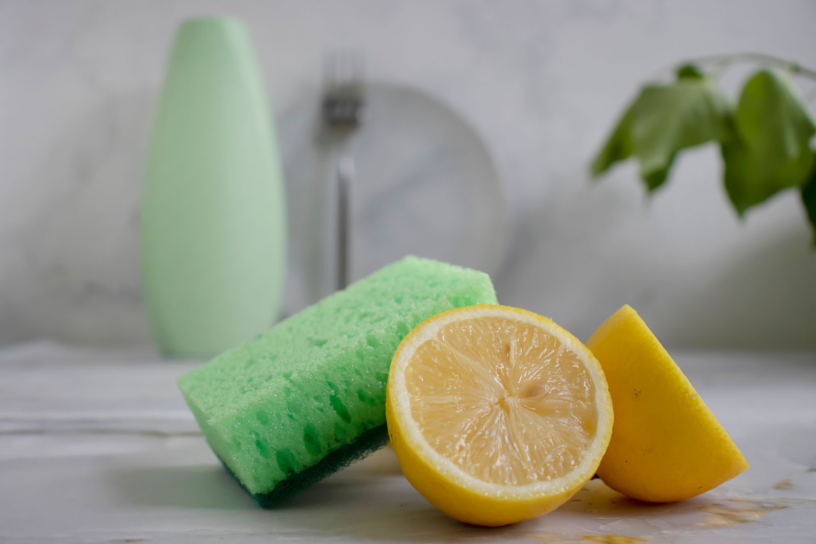 Zitrone liegt auf einem Schwamm | Credit: iStock.com/TanyaLovus