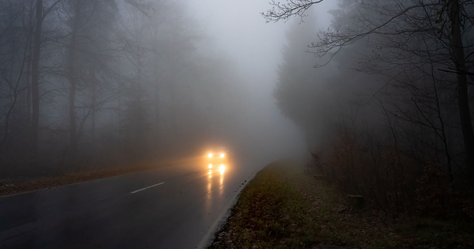 Auto auf nebeliger Straße