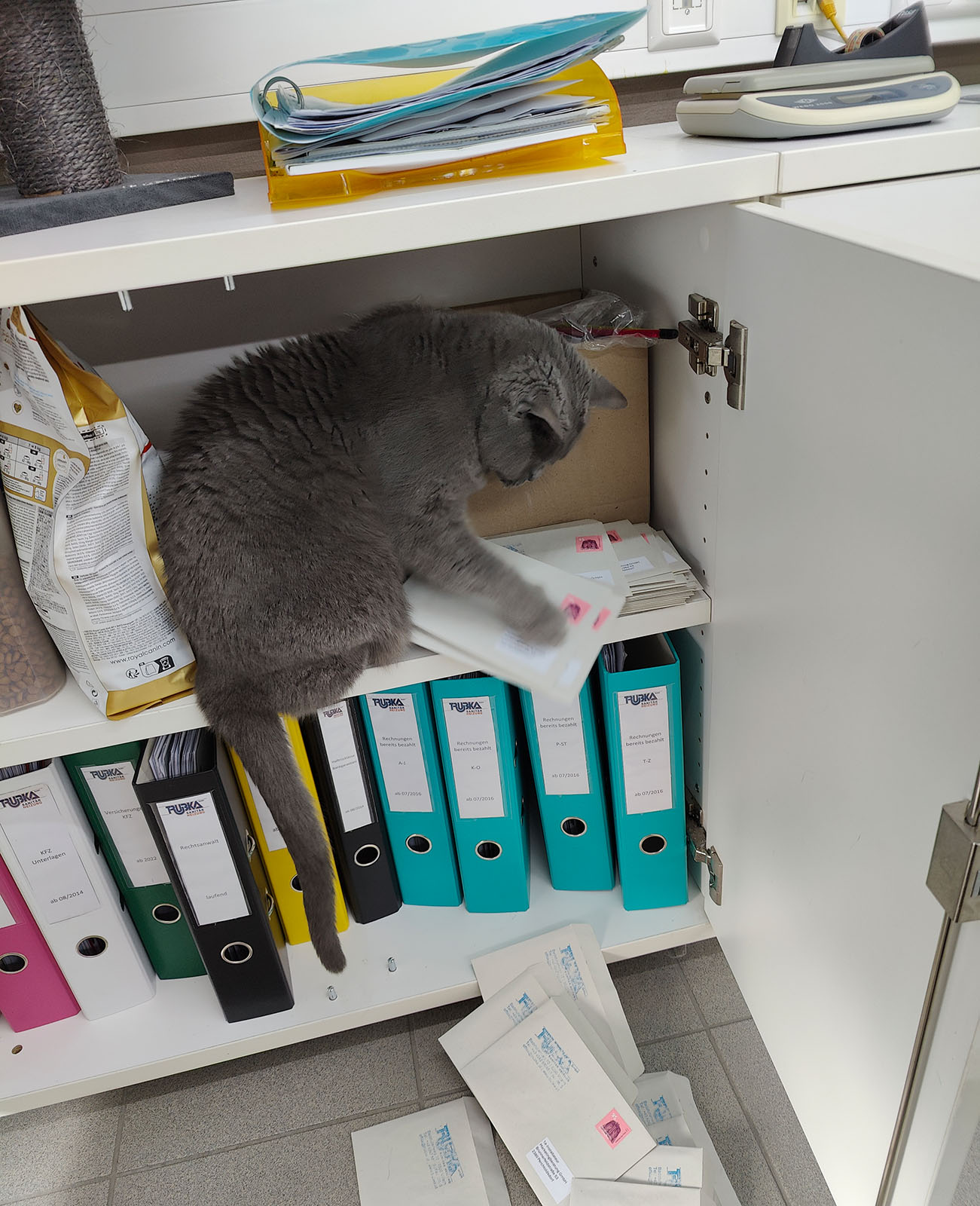 Corona räumt die Post aus | Credit: Lilli Platzer