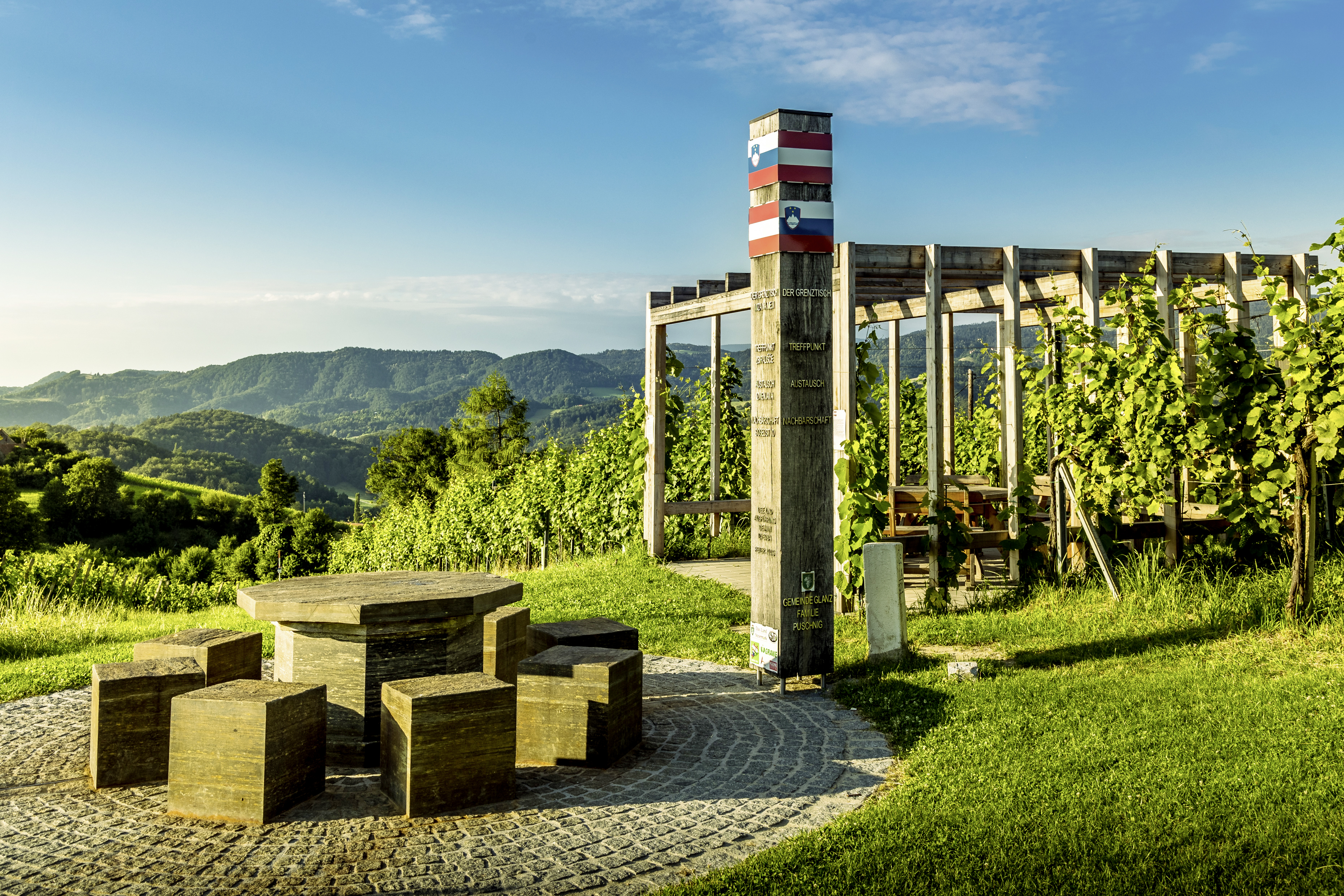 Ein Tisch umgeben von grünen Weinbergen