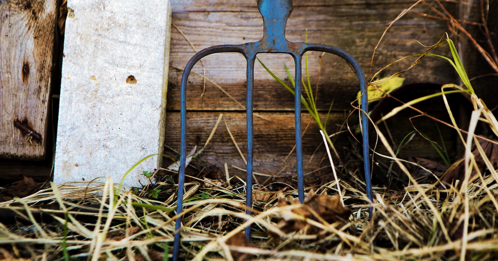 Eine Heugabel in einem Stall.