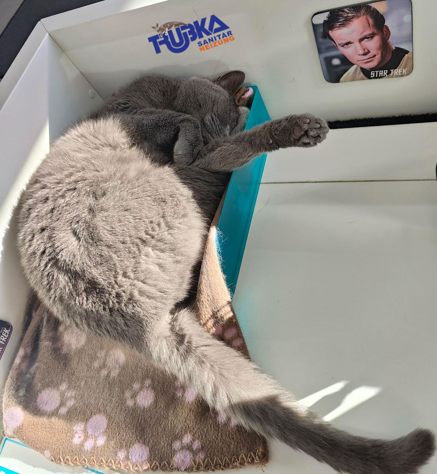 Corona liegt im Ablagefach | Credit: Lilli Platzer