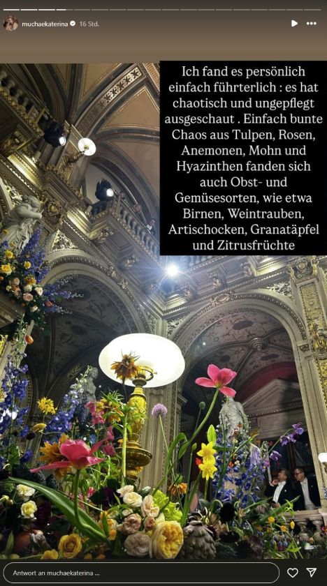 Muchas Instagramstory