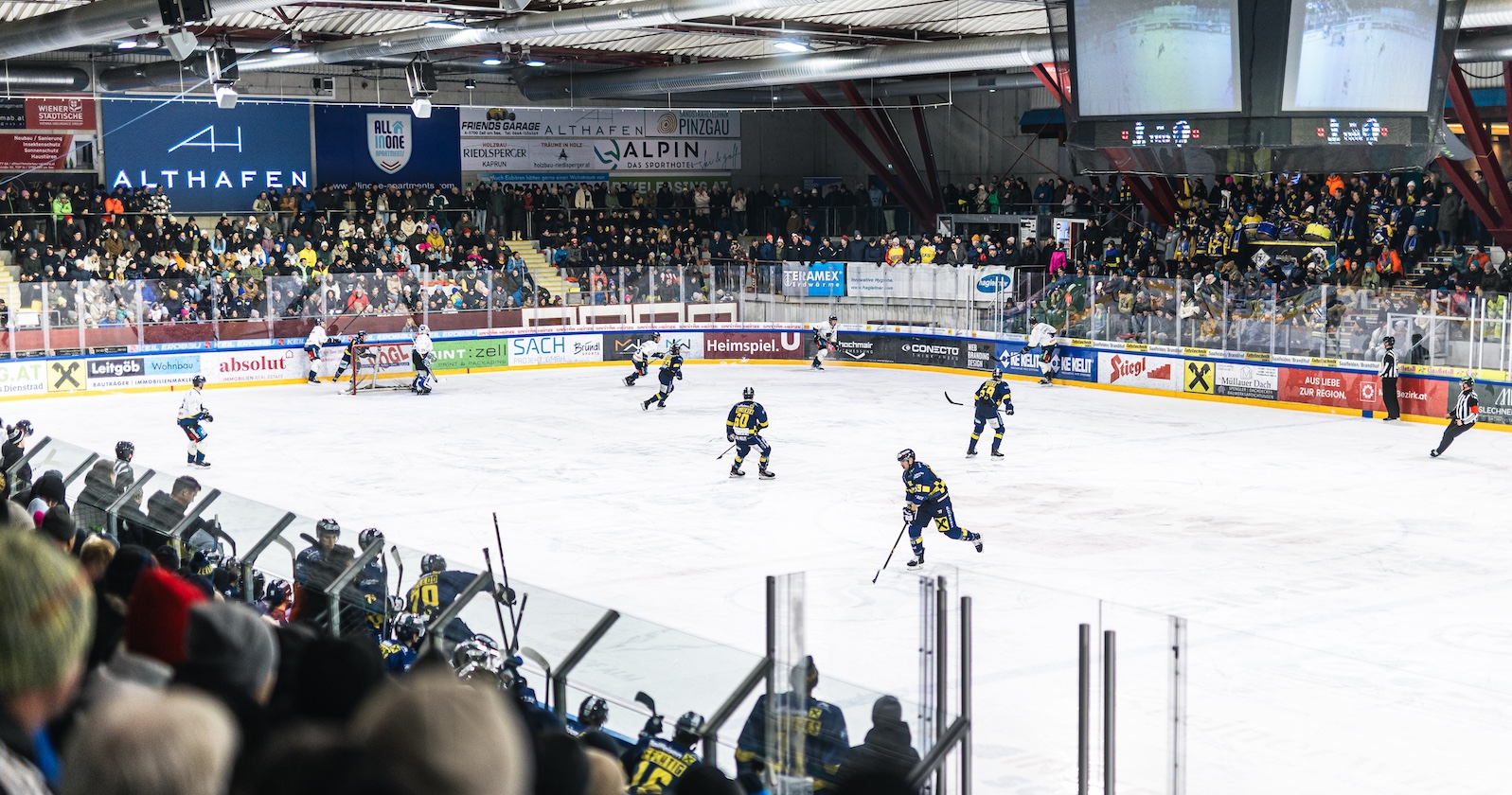 Die Zeller Eisbären auf dem Weg zu neuen Höhen.