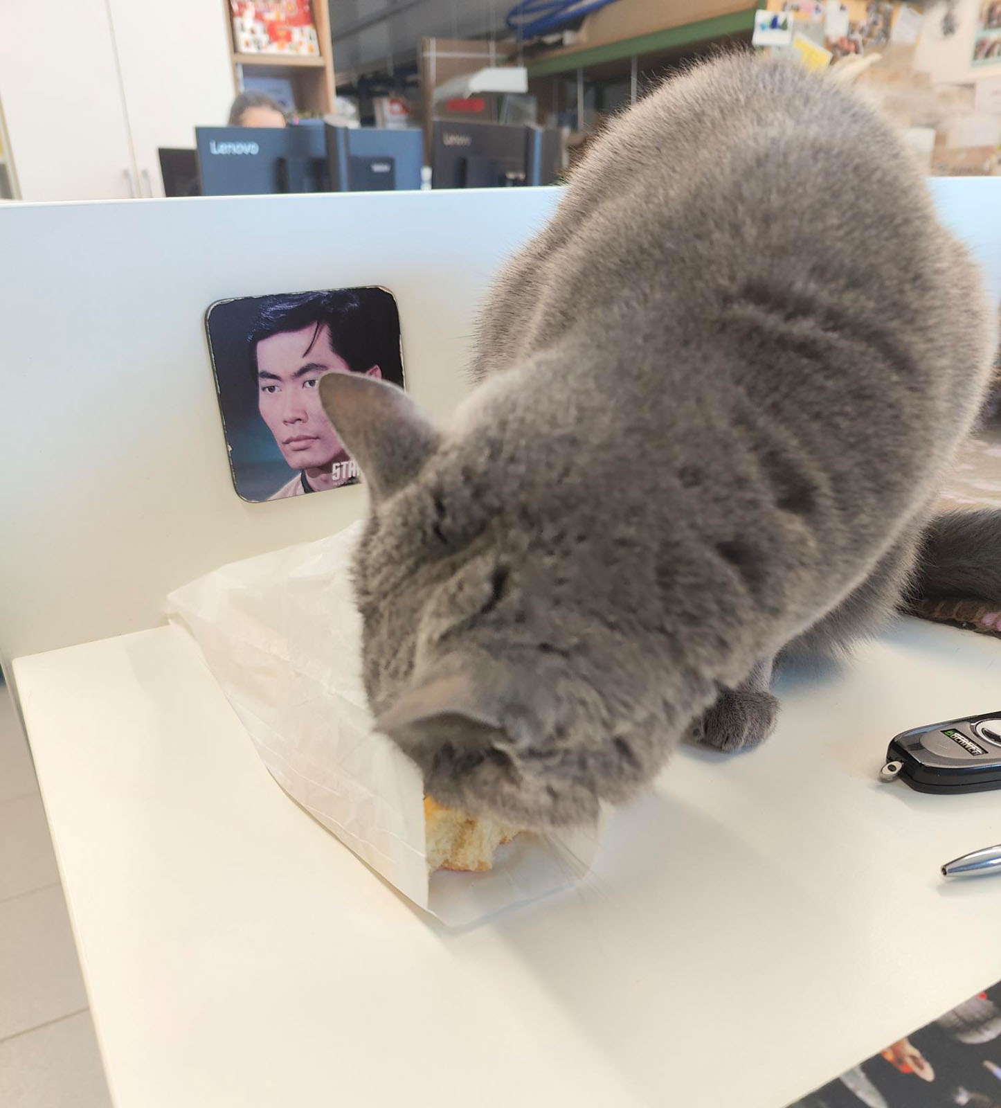 Corona frisst am Schreibtisch | Credit: Lilli Platzer