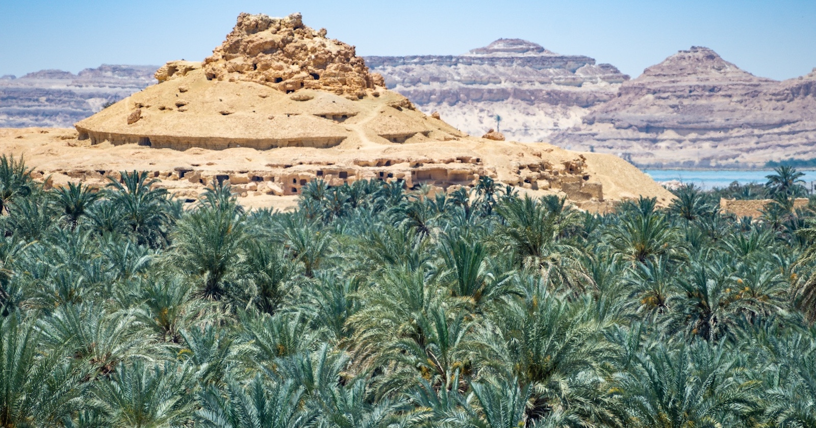 Wüstenberge mit Dattelpalmenoase im Vordergrund