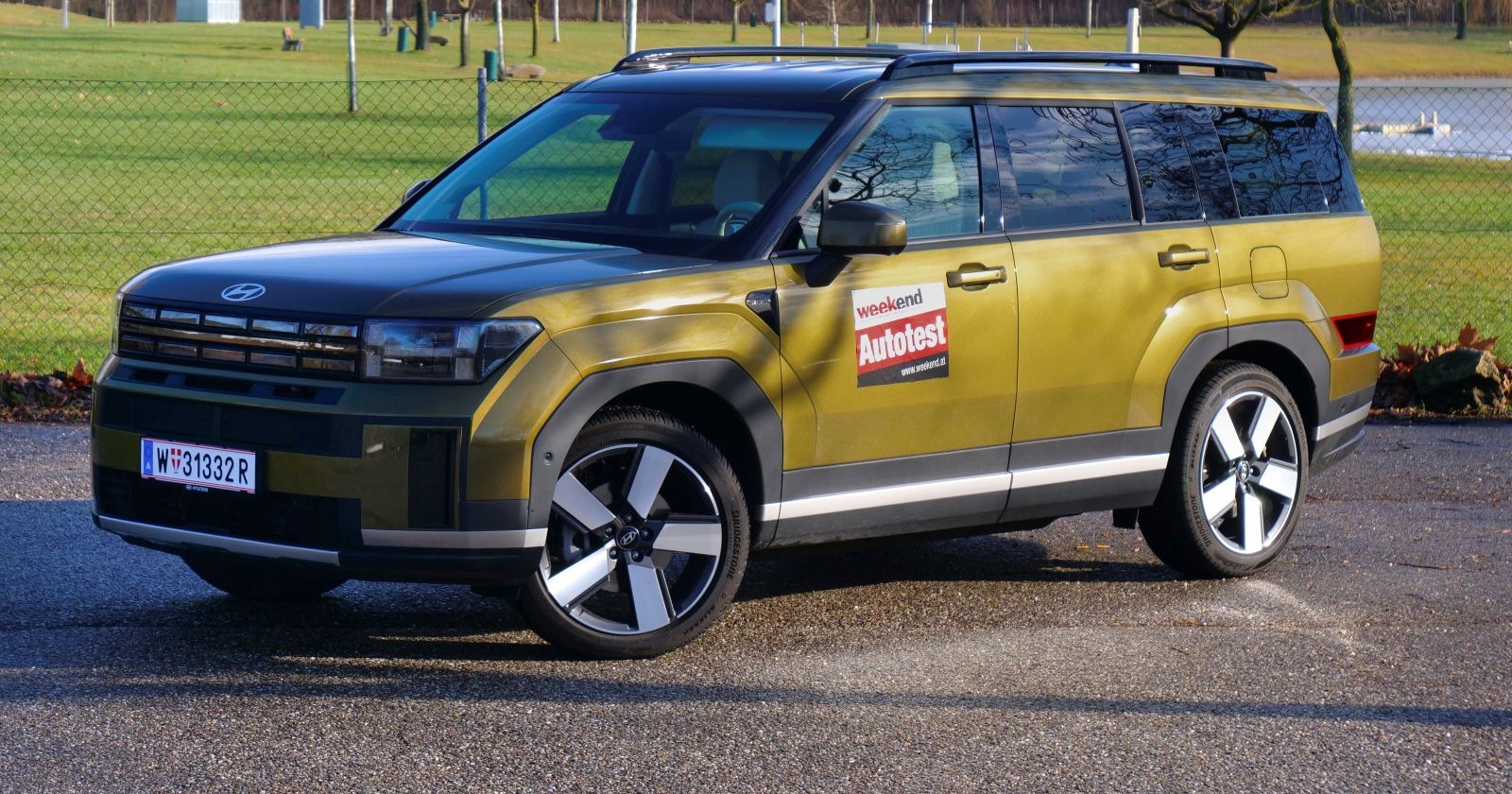 Ein Olive-grüner Hyundai Santa Fe parkt vor einer Wiese. Auf der Wiese wachsen einige junge Bäume, diese haben aber noch keine Blätter.