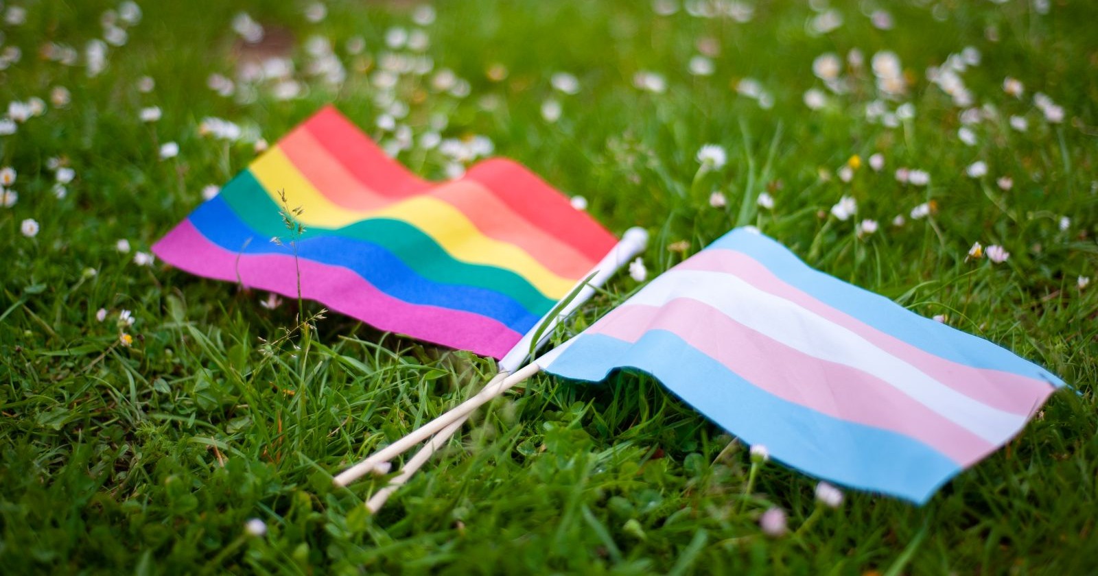 GBTQIA Stolz Flagge und Transgender Stolz Flagge