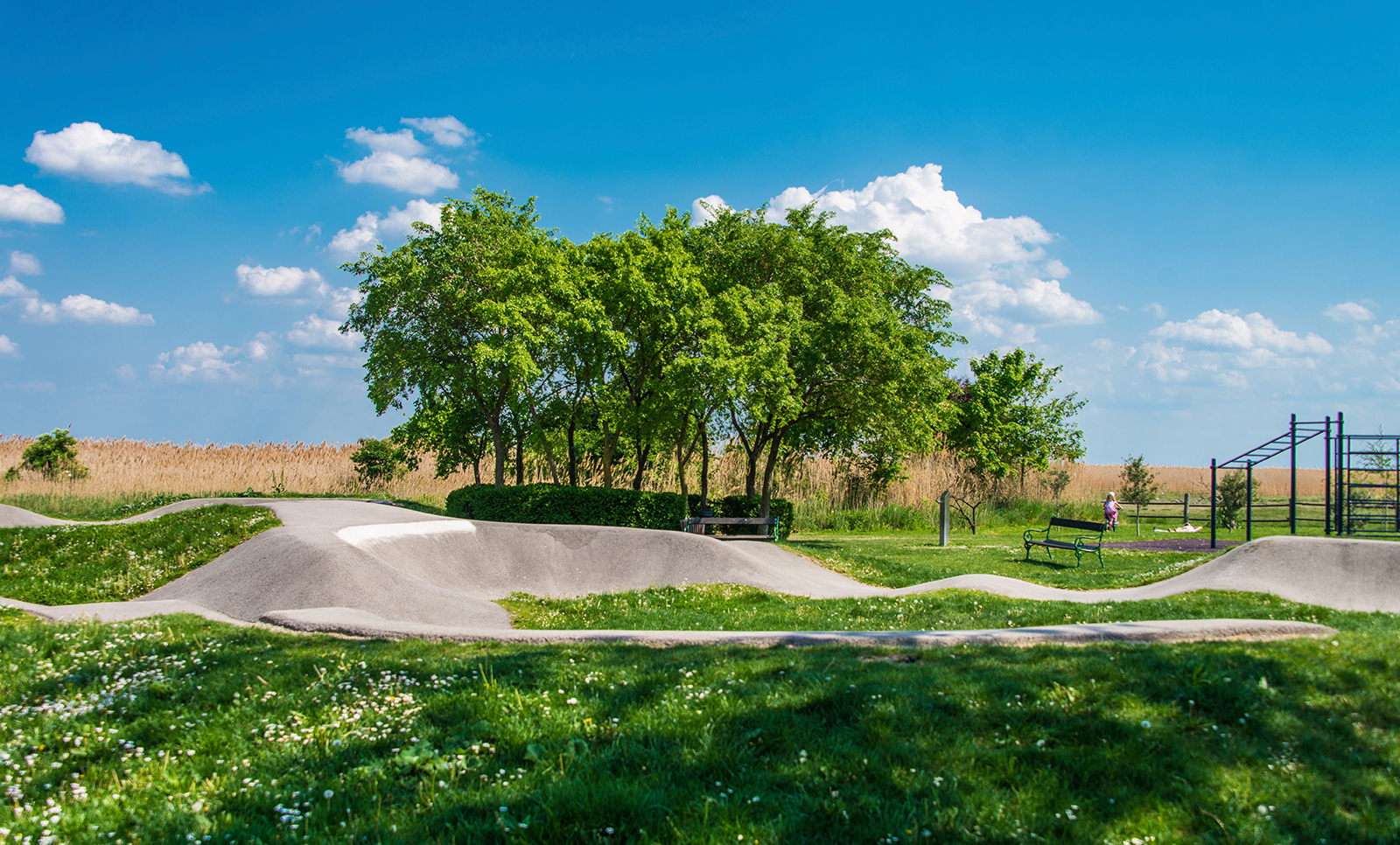 Der Pumptrack in Rust | Credit: Freistadt Rust