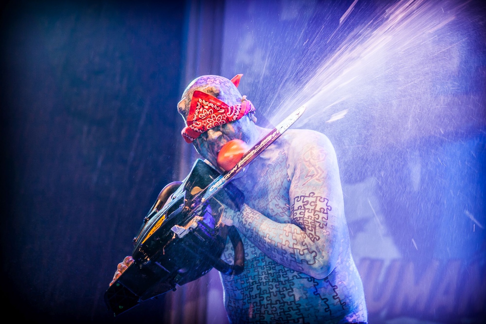 Wildstyle &amp; Tattoo Messe