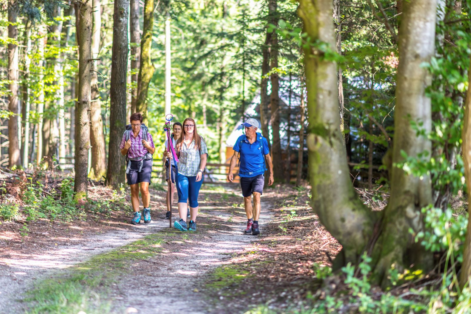 Vier Pilger gehen im Wanderoutfit durch den Wald, die Frau in der Mitte mit einem Pilgerstab in der Hand.