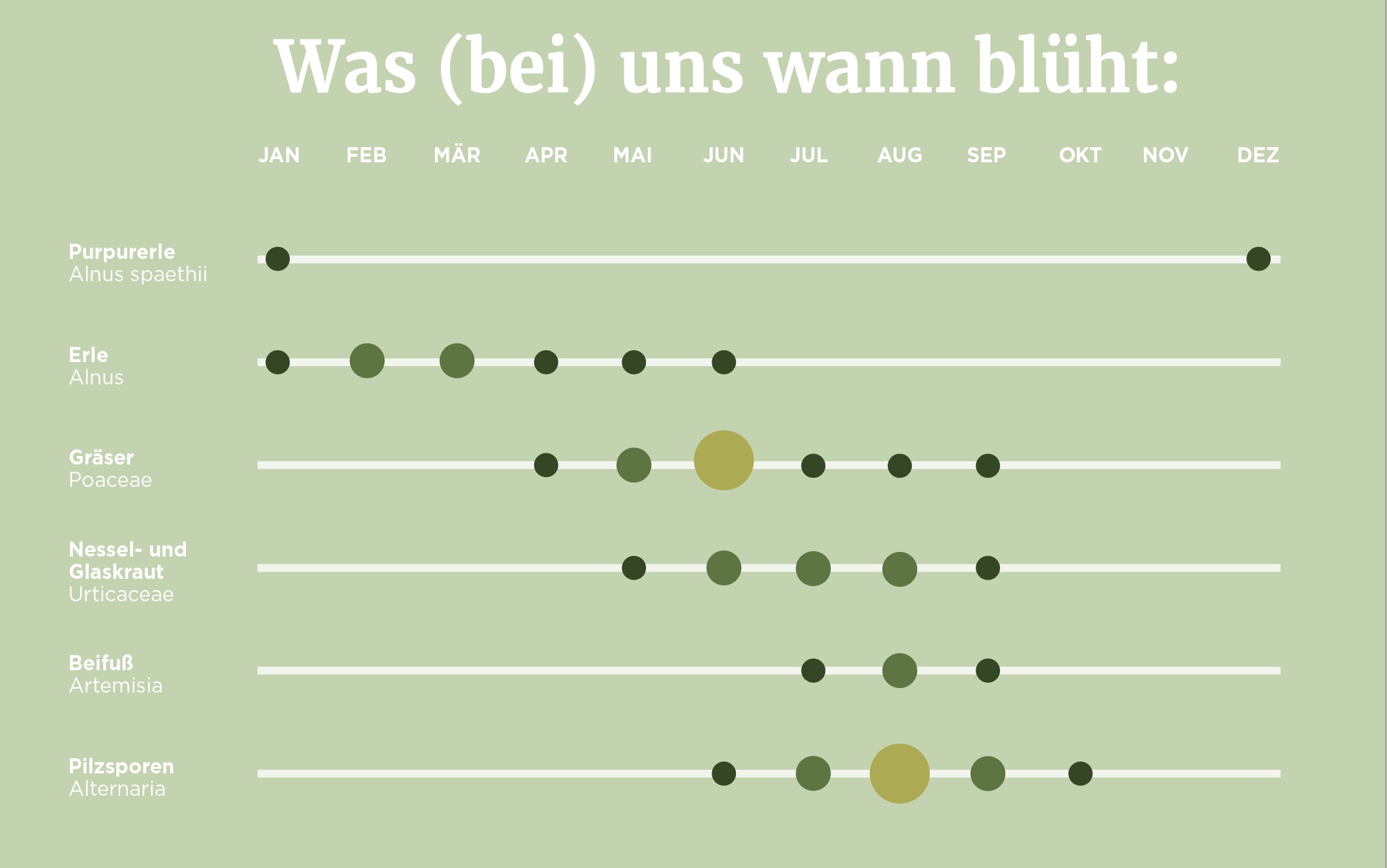 Grafik mit dem Titel ‚Was (bei) uns wann blüht‘ zeigt Blühzeiten von allergieauslösenden Pflanzen und Pilzsporen über die Monate Januar bis Dezember.