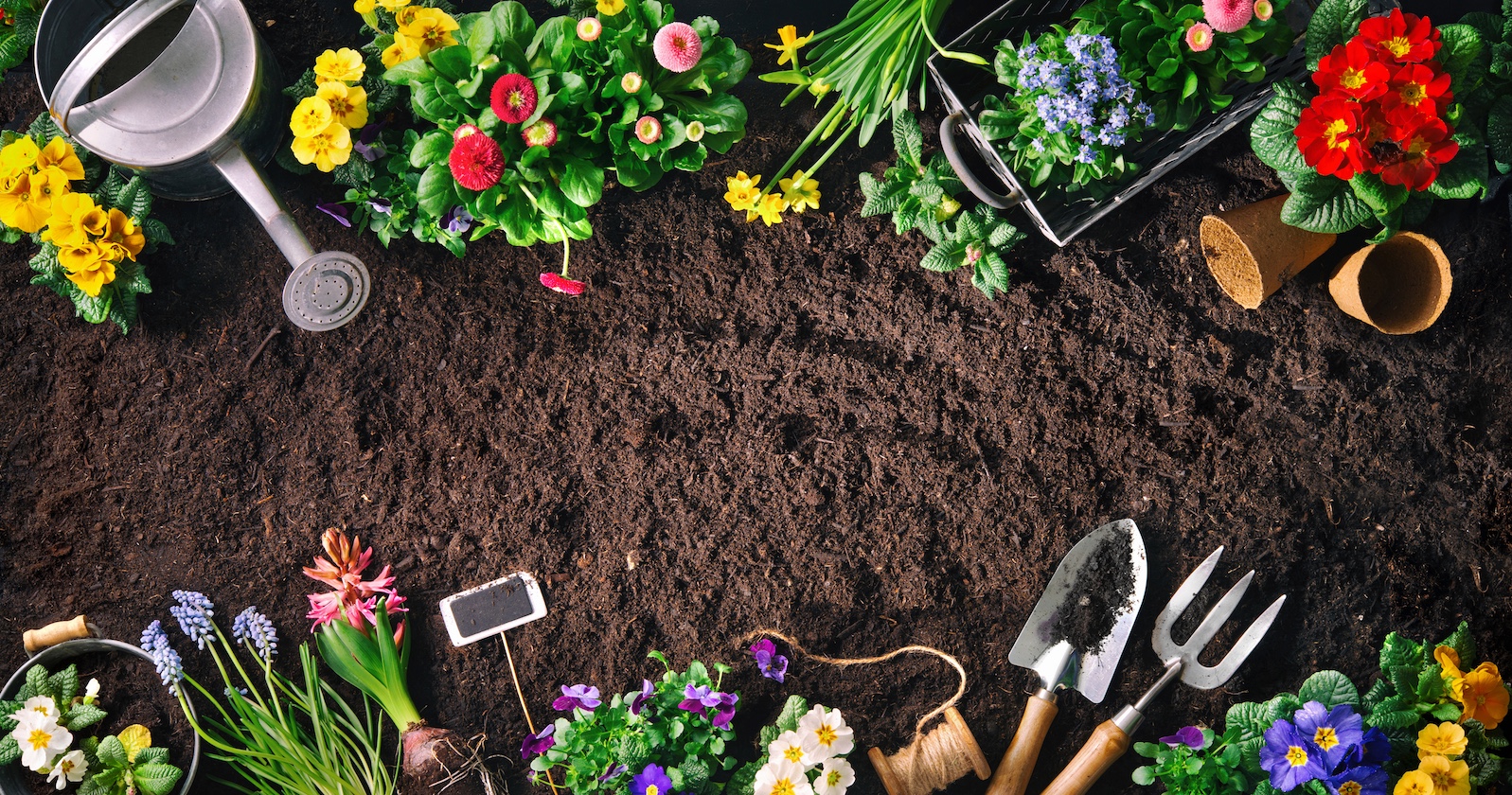 Ob Blumenbeet oder Gemüsegarten – im Frühling kommt das Leben zurück ins Grüne.