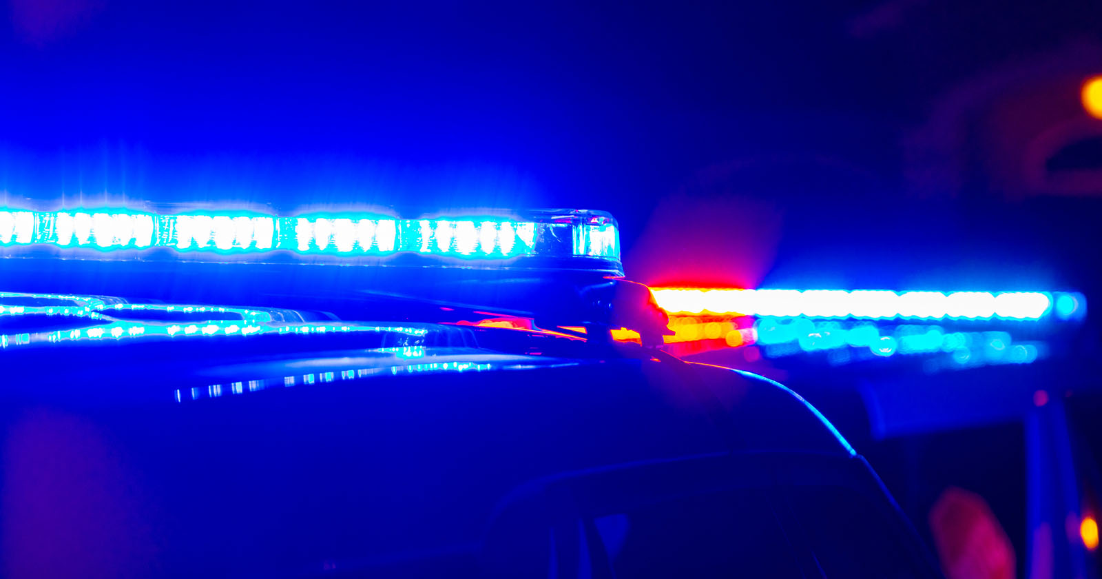 Symbolbild – Blaulicht auf einem Polizeiauto in der Nacht