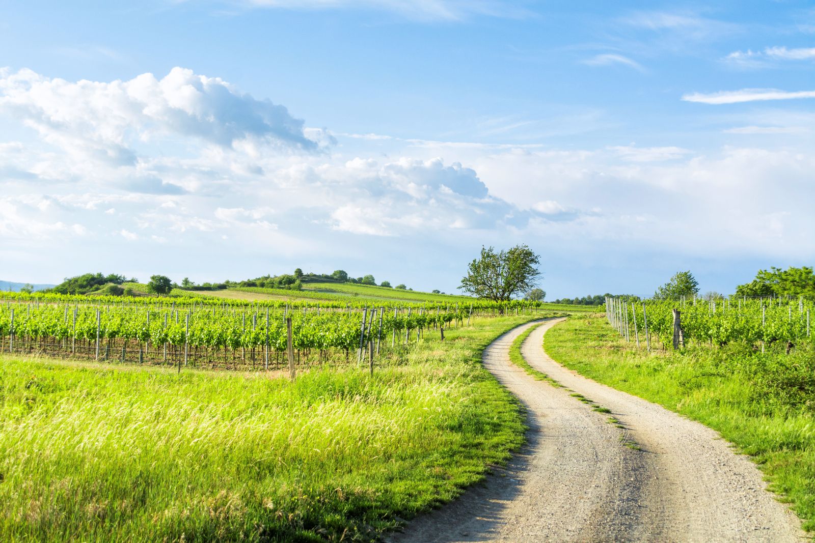 Jakobsweg Burgenland