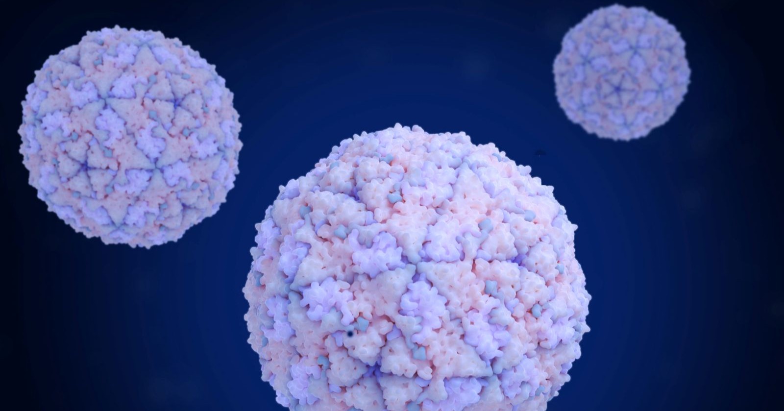 Maul- und Klauenseuche