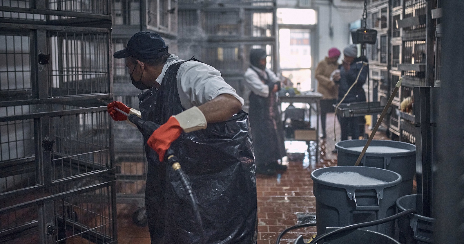 Ein Mitarbeiter säubert einen Vogelkäfig.