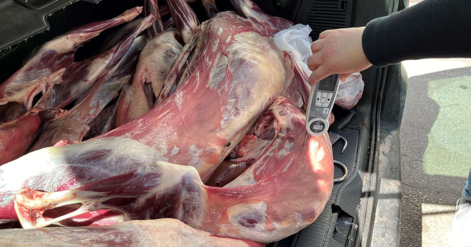 Illegal gelagertes Lammfleisch