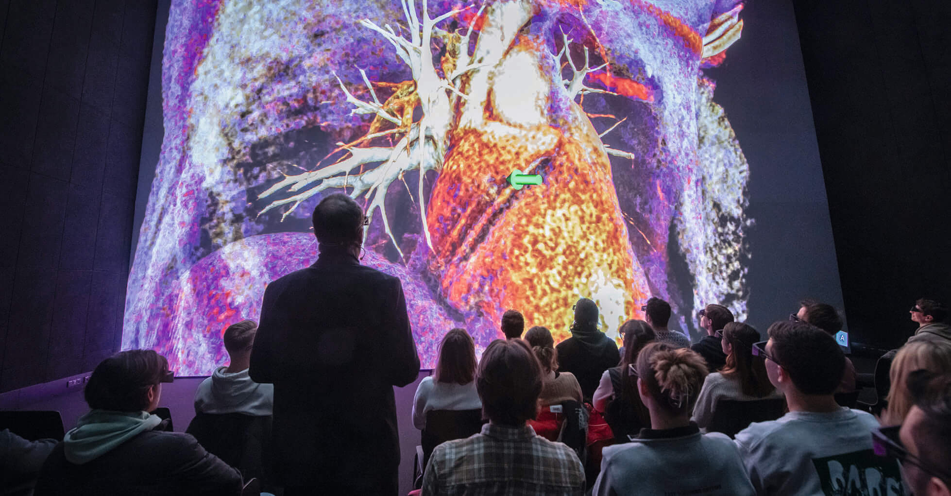 In der Virtuellen Anatomie können mittels 3D-Brillen Organe als Ganzes betrachtet werden.