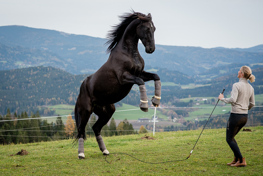 Pferd und Frau stehen auf einer Wiese