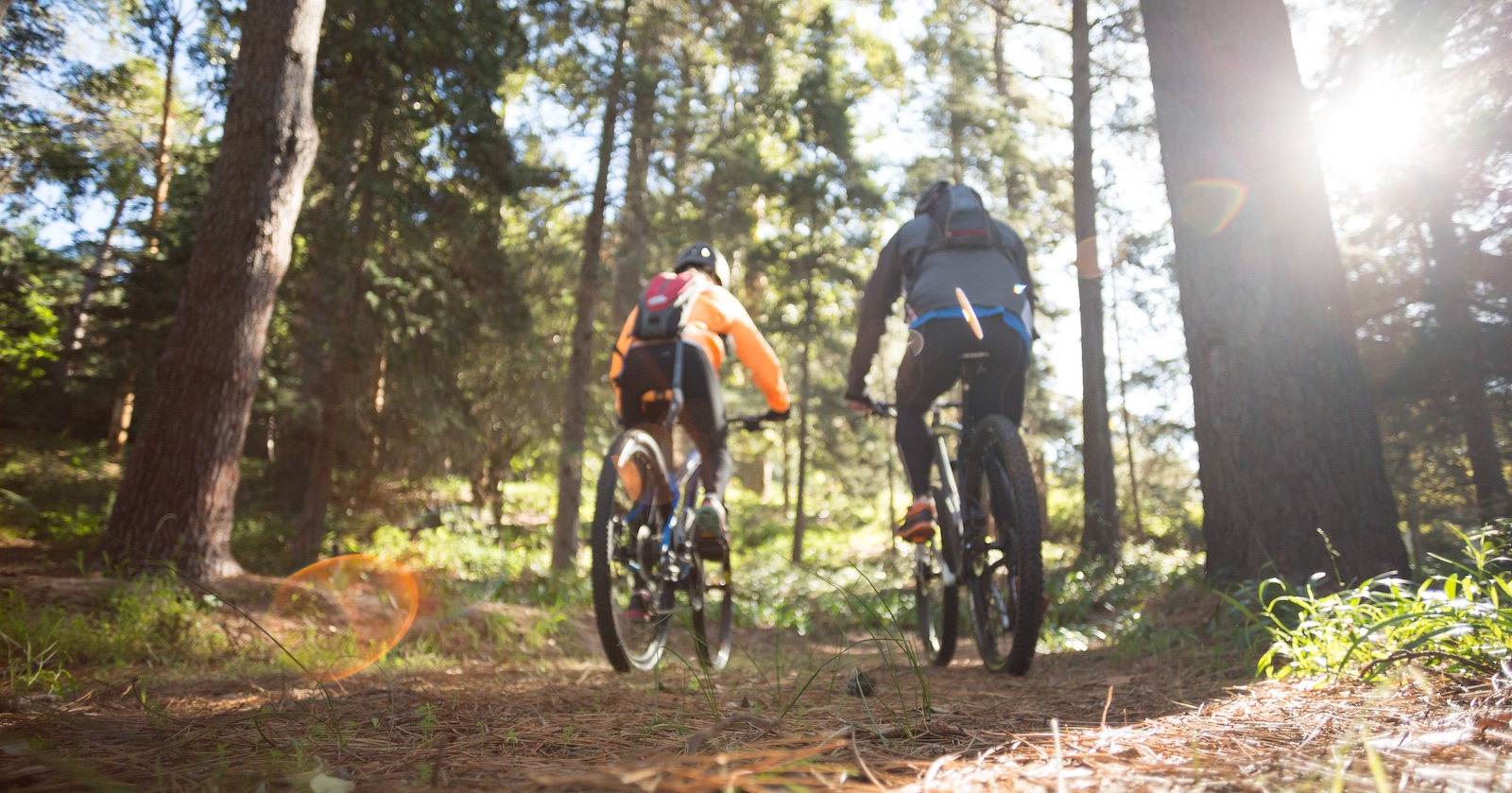 Zwei Mountainbiker im Wald von hinten