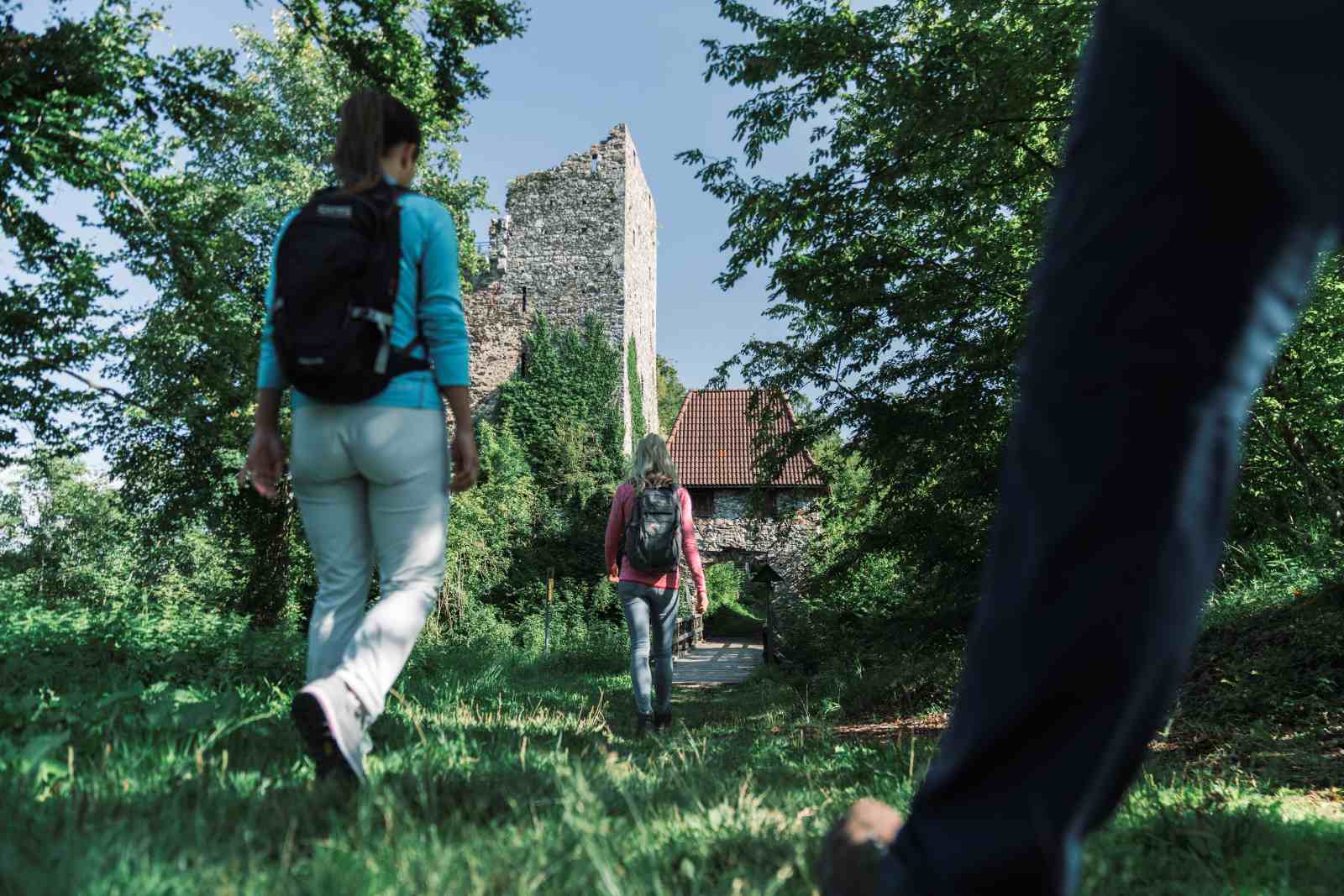 Wanderer von hinten, die auf die Burgruine Haichenbach im Mühlviertel, Oberösterreich, zugehen - umgeben von grünen Wäldern und blauem Himmel.