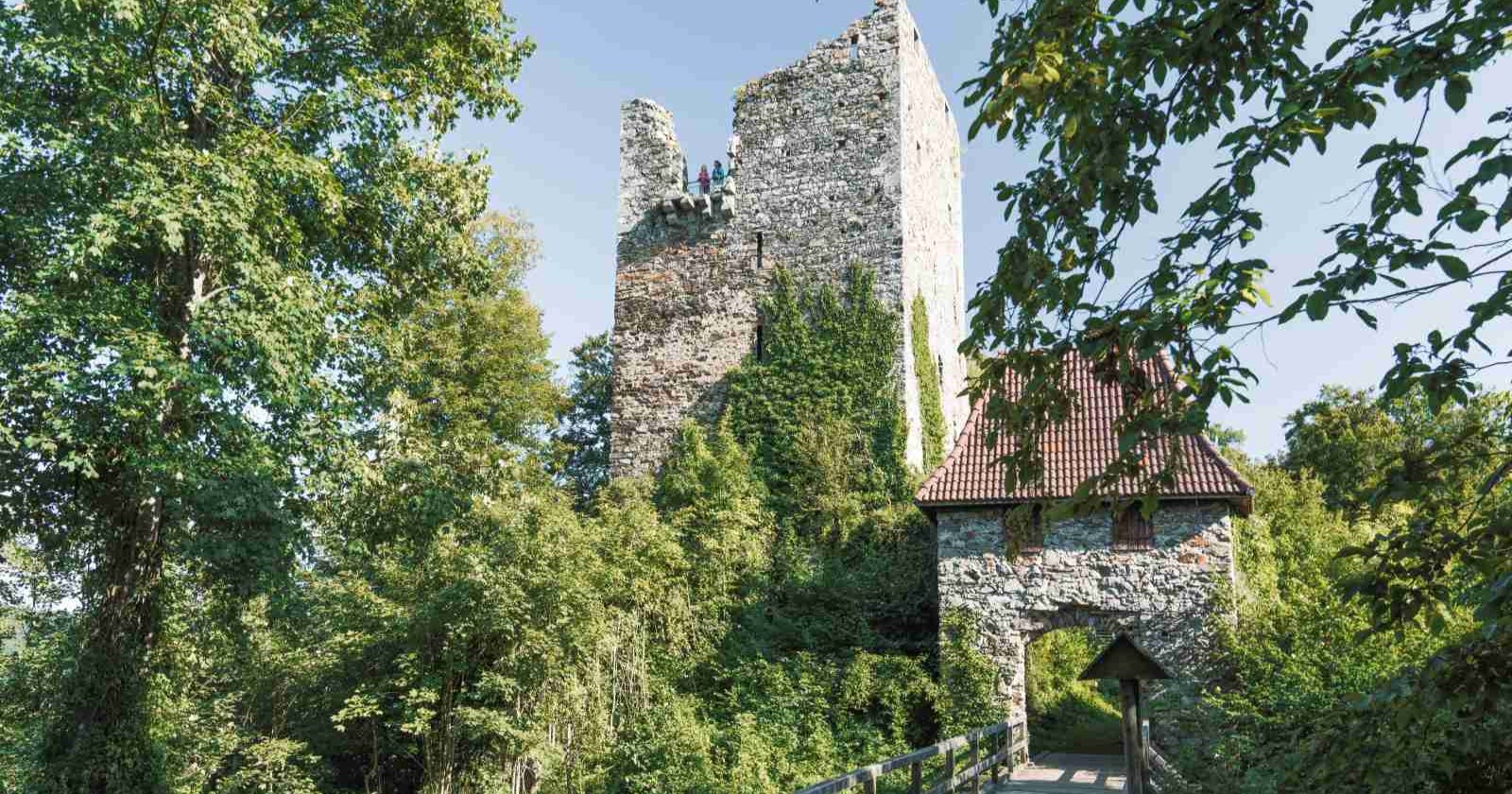 Burgruine Haichenbach im Mühlviertel, Oberösterreich – mittelalterliche Steinruine auf einem bewaldeten Hügel mit Panoramablick auf das Tal und blauen Himmel.“