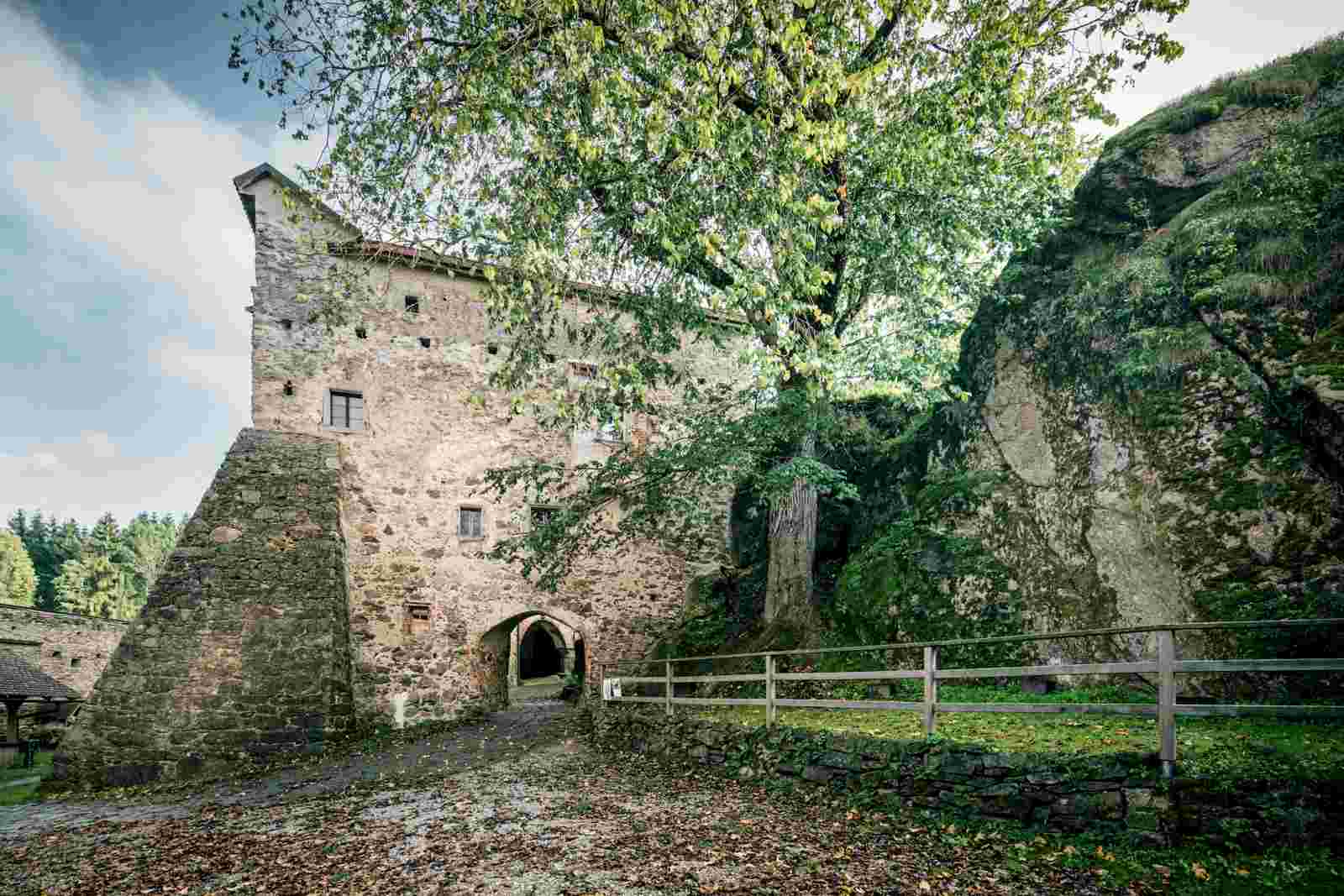 Burg Prandegg im Mühlviertel, Oberösterreich – gut erhaltene Burgruine mit hohem Bergfried, umgeben von grünem Wald und blauem Himmel.