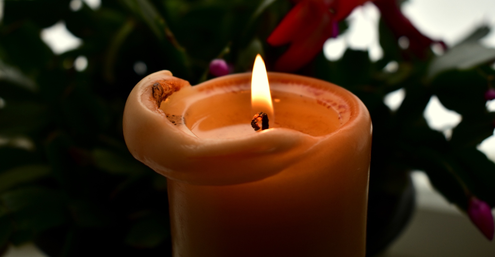 Kerze mit roten Rosen: Österreich trauert um den Tiroler Schauspieler Dietmar Mössmer.