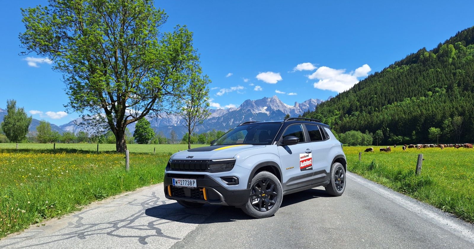 Ein hellblauer Jeep Avanger steht auf einer einsamen Straße. Im Hintergrund sind hohe Berge und Hügel zu sehen. Auf einer Wiese grasen Kühe.