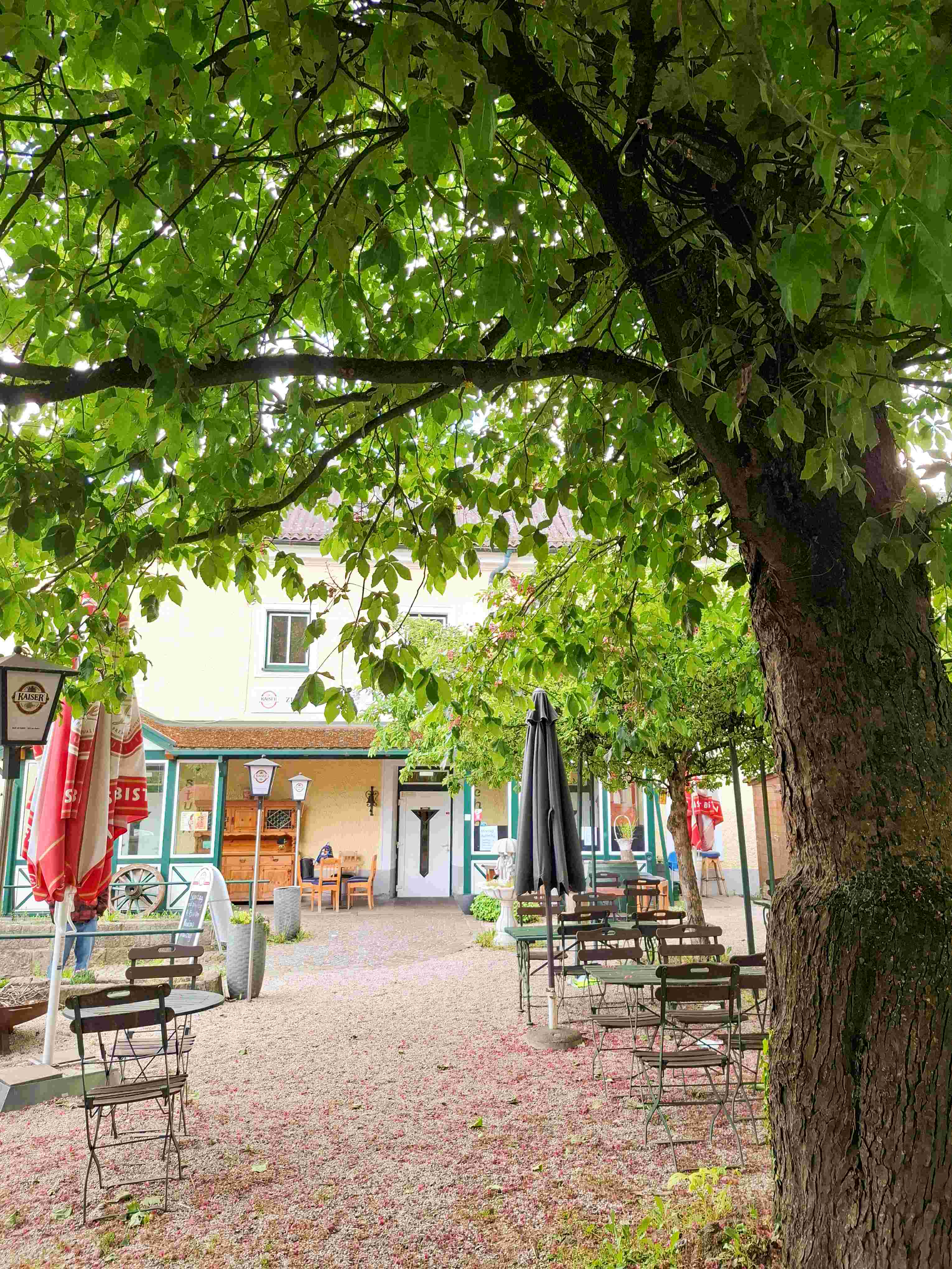 Uriger Gastgarten mit Kieselsteinen, im Vordergrund ragt rechts ein großer Apfelbaum ins Bild, hinten erkennt man die Eingangstür zu einem Wirtshaus.