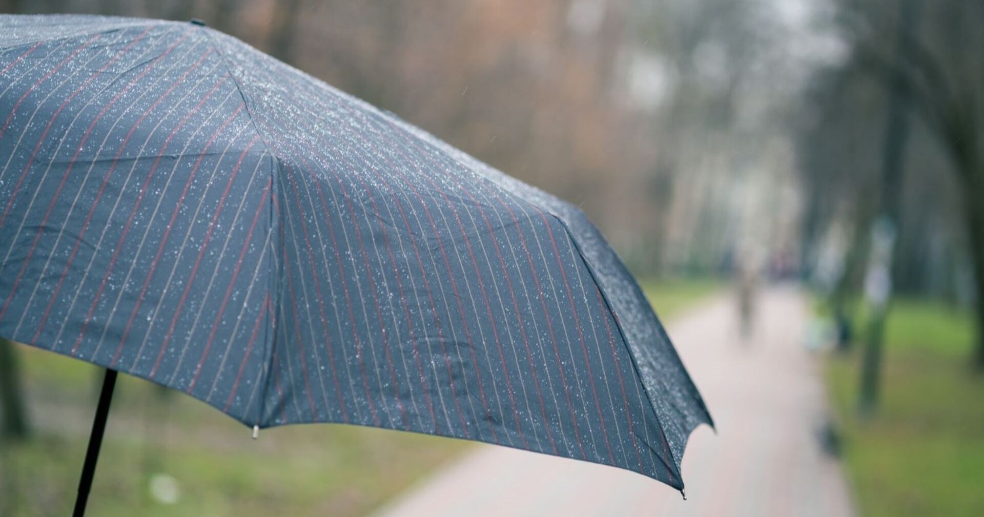 Ein Regenschirm mit feinen Regentropfen steht geöffnet auf einem Gehweg in einem Park; der Hintergrund ist unscharf mit Bäumen und Fußgängern.