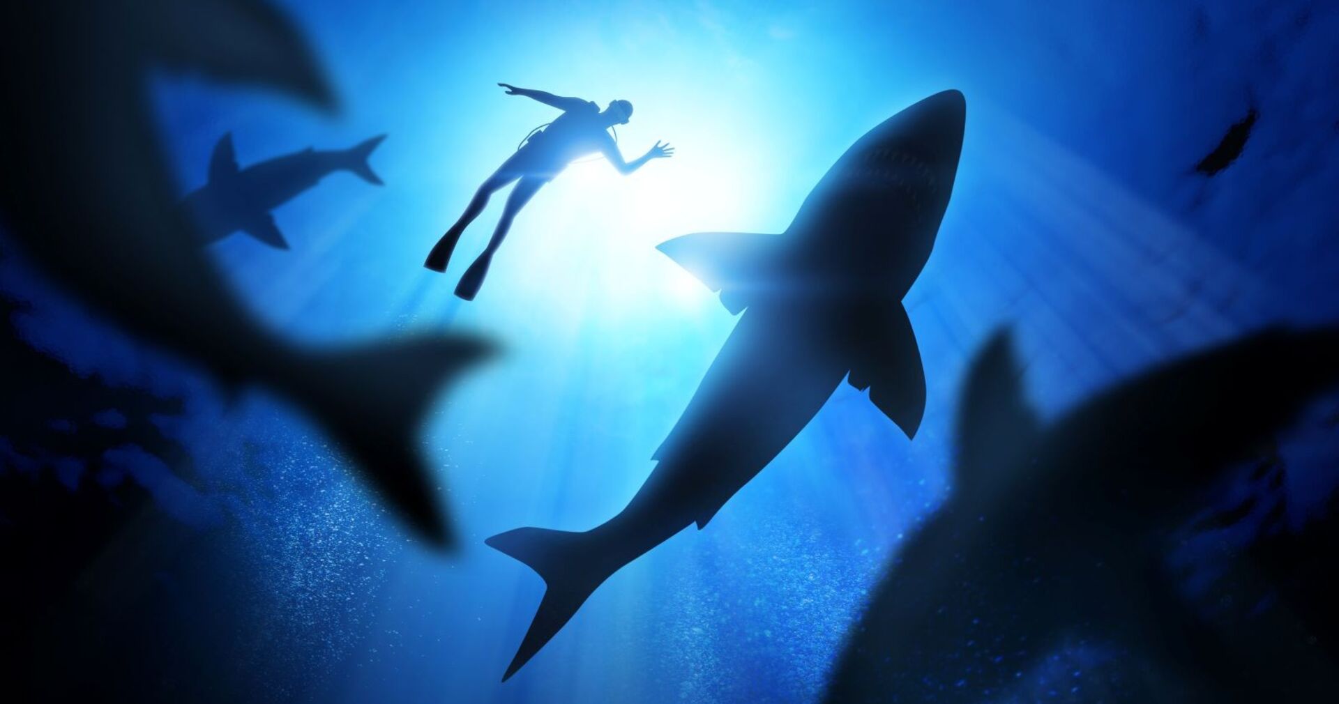 Ein Taucher und mehrere Hai im Ozean.