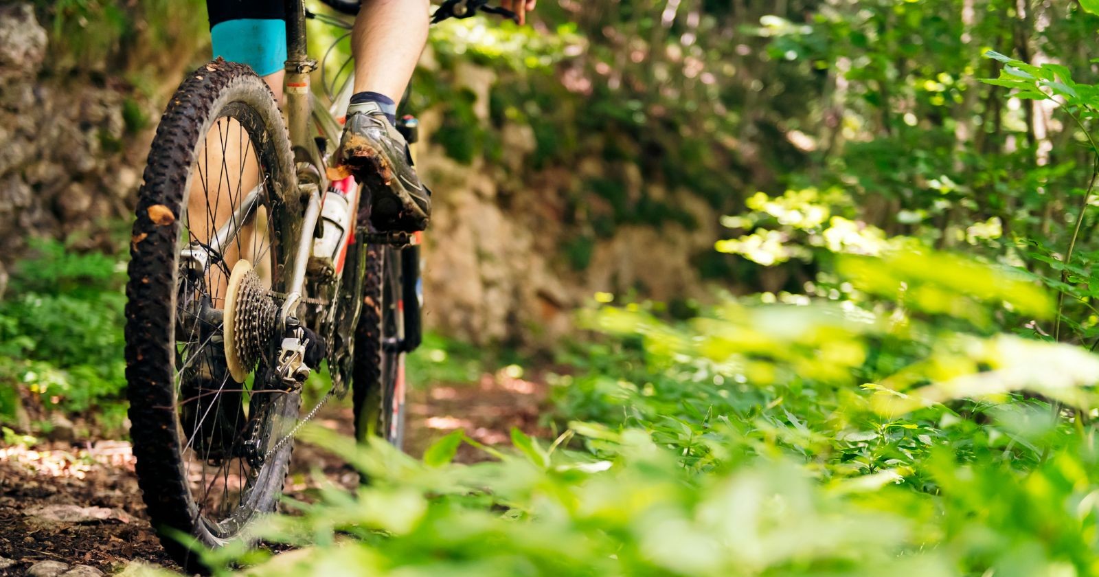 Räder eines Mountainbikes, das auf einer Forststraße fährt