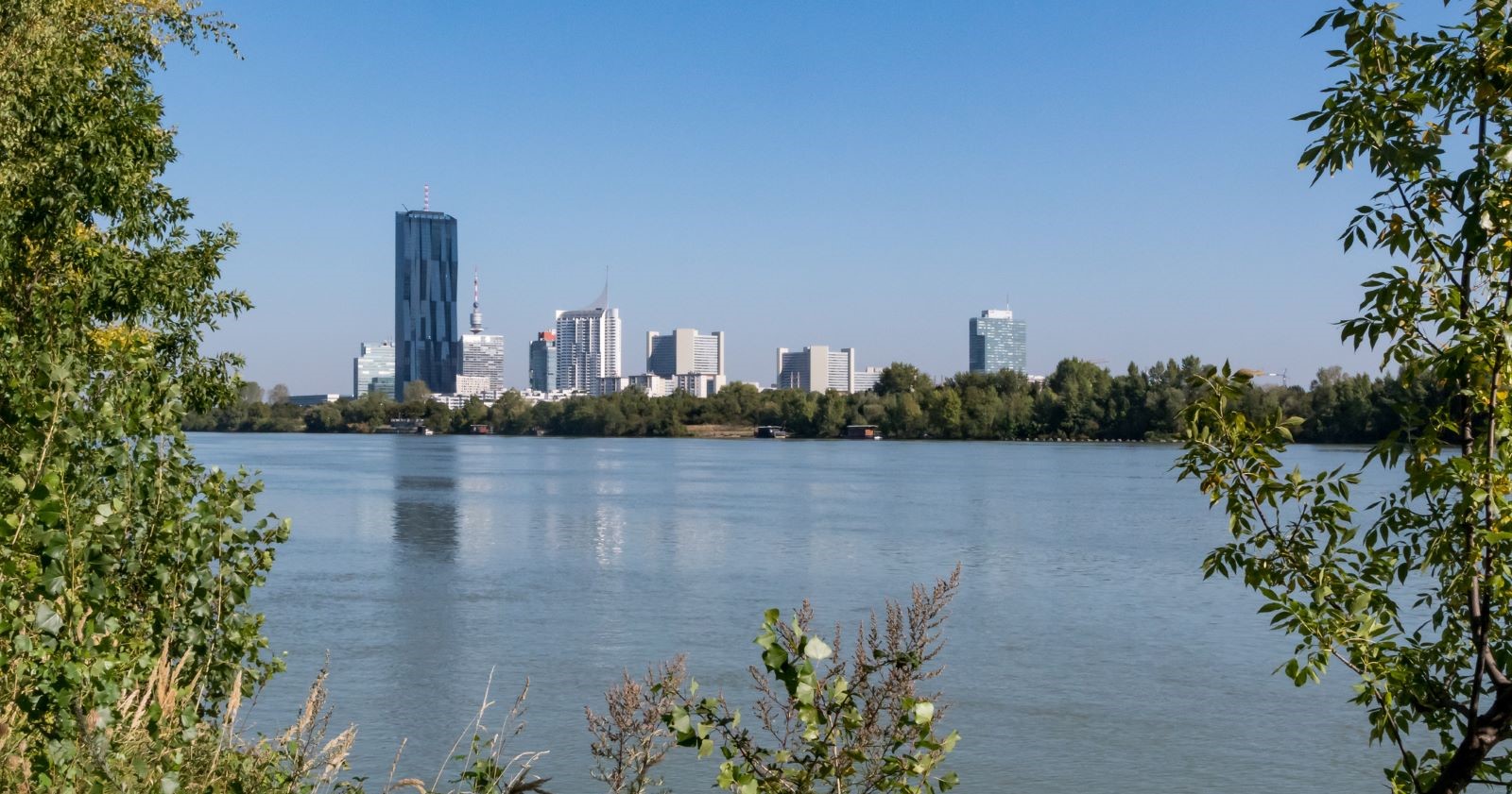 Blick über die Neue Donau in Wien mit Skyline der Donau City im Hintergrund, eingerahmt von grünem Uferbewuchs und blauem Himmel.