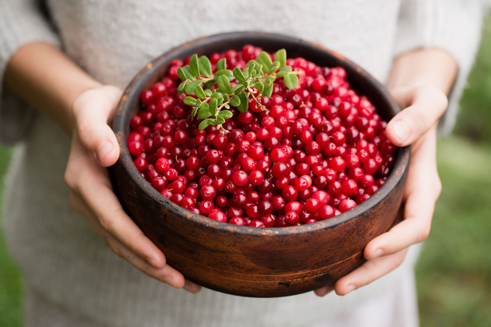 Frau hält eine Schale mit Preiselbeeren | Credit: iStock.com/Mallivan