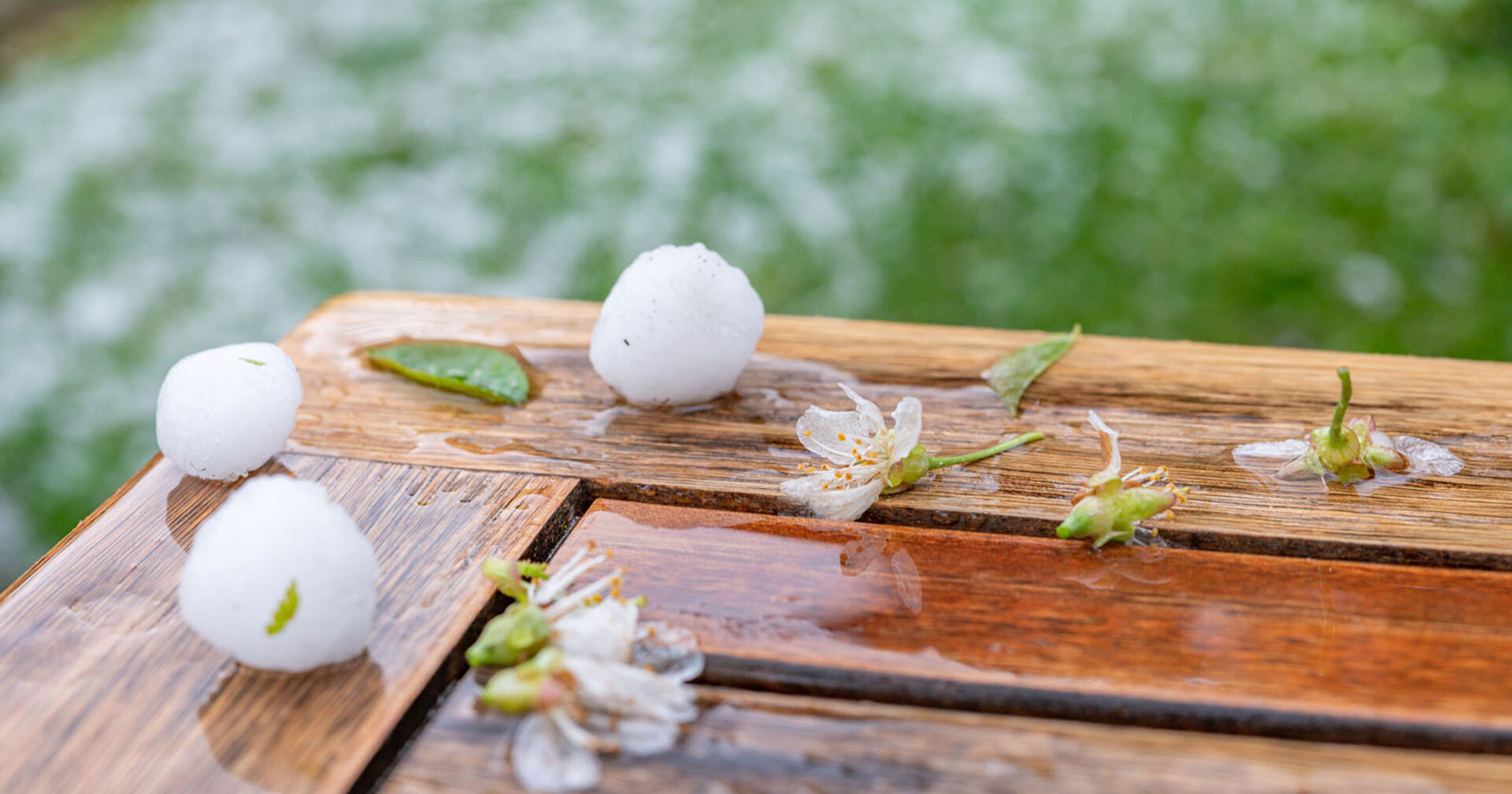 Hagelkörner auf einem Holztisch | Credit: iStock.com/Frank Günther