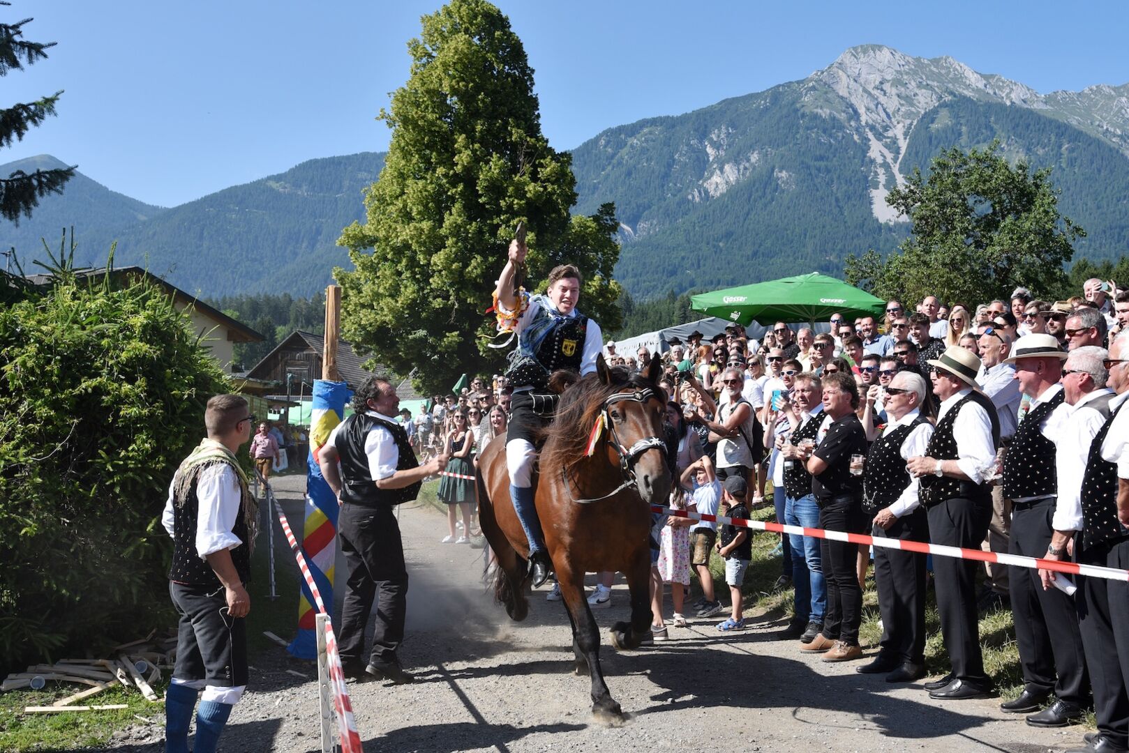 Ein Reiter auf einem Noriker beim Gailtaler Kufenstechen.