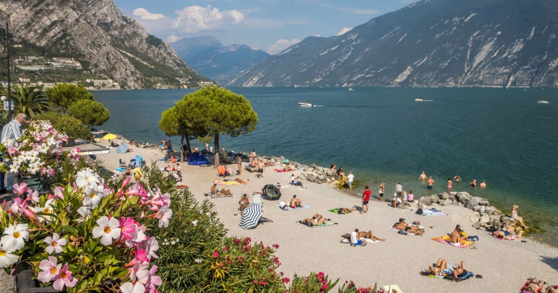 Menschen liegen auf Handtüchern und baden am Strand von Limone sul Garda, mit Blick auf den Gardasee und umliegende Berge, Blumen im Vordergrund